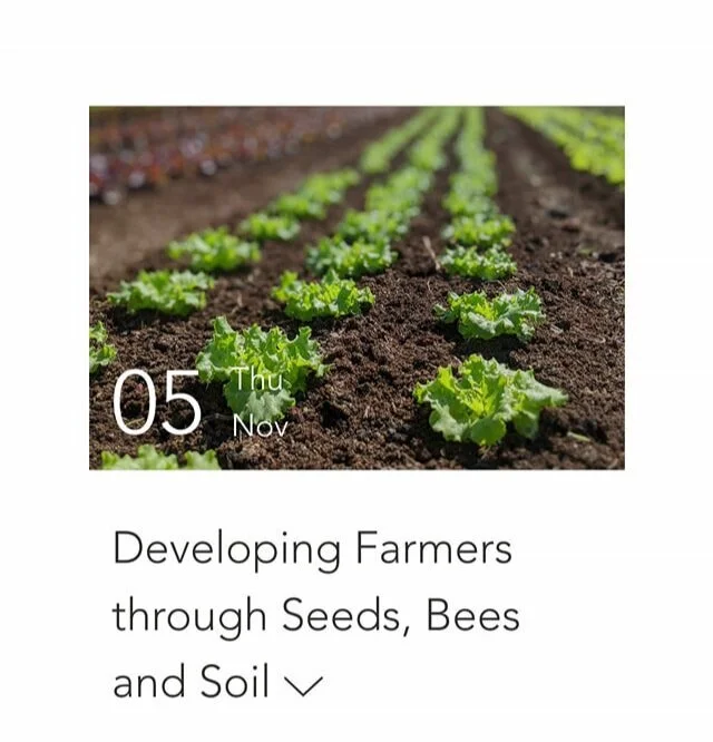 Seeds+Bees+and+Soil |LakeSinclairLife.com