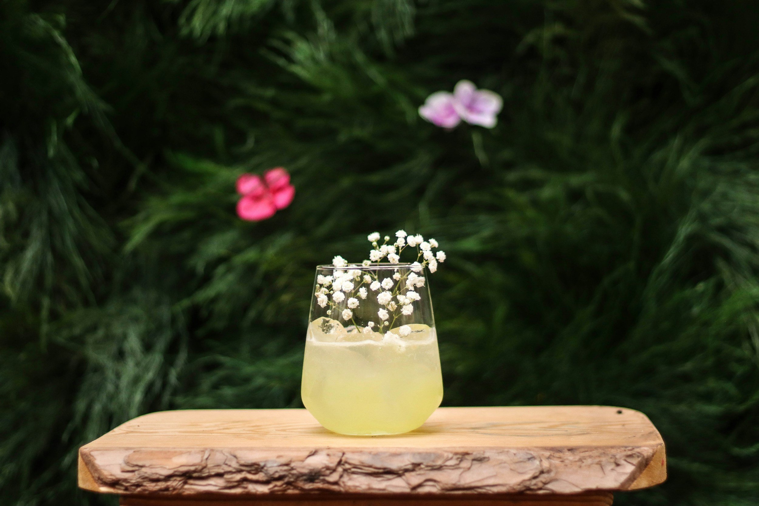 Cocktails in Wonderland