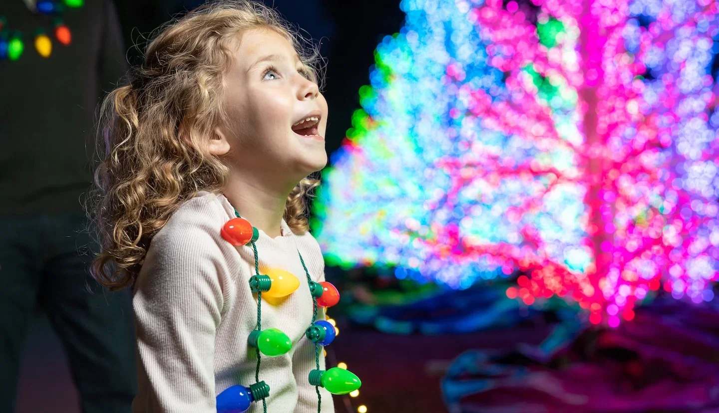 Garden Lights, Holiday Nights