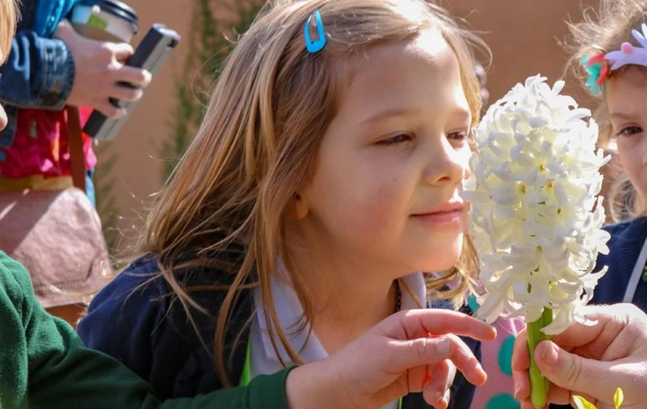 Sensory Friendly Afternoon