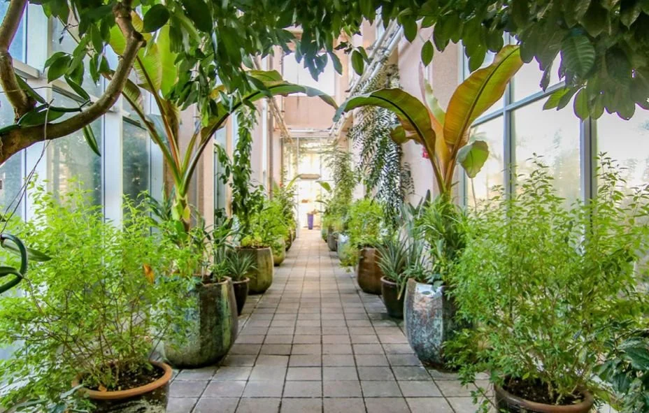 An Orangerie Spice Exploration