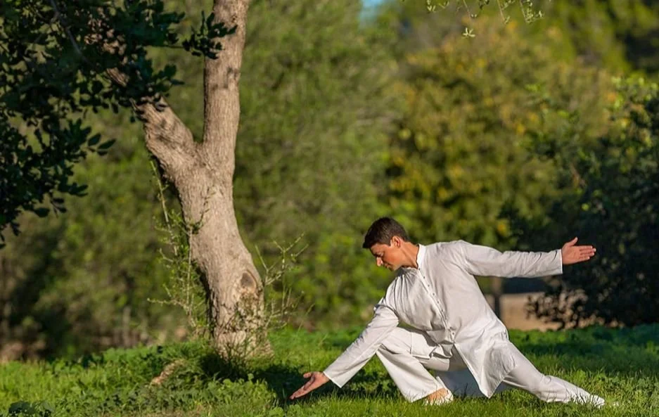 Tai Chi – Intermediate – Quarter IV