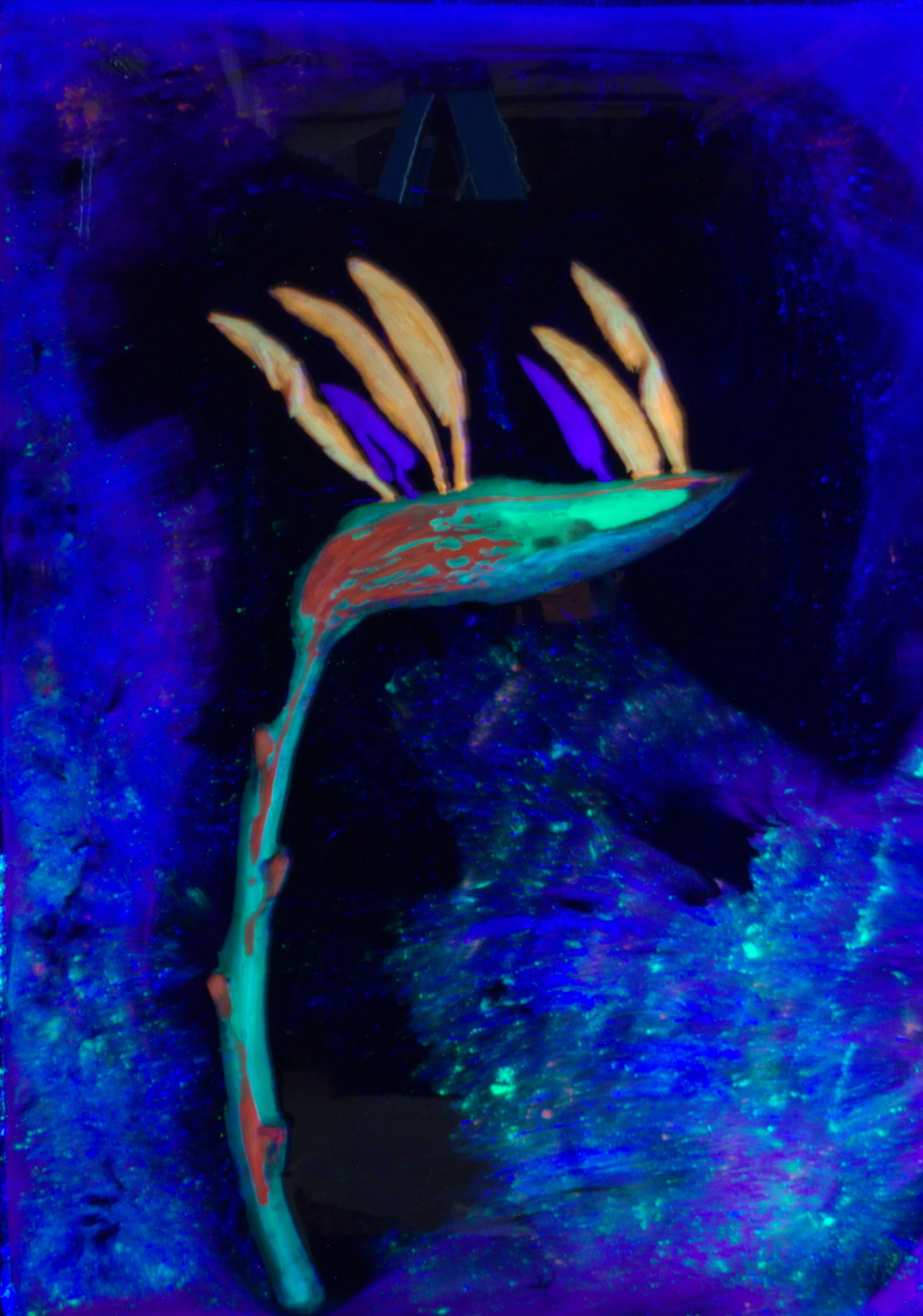 birdofparadise.jpg