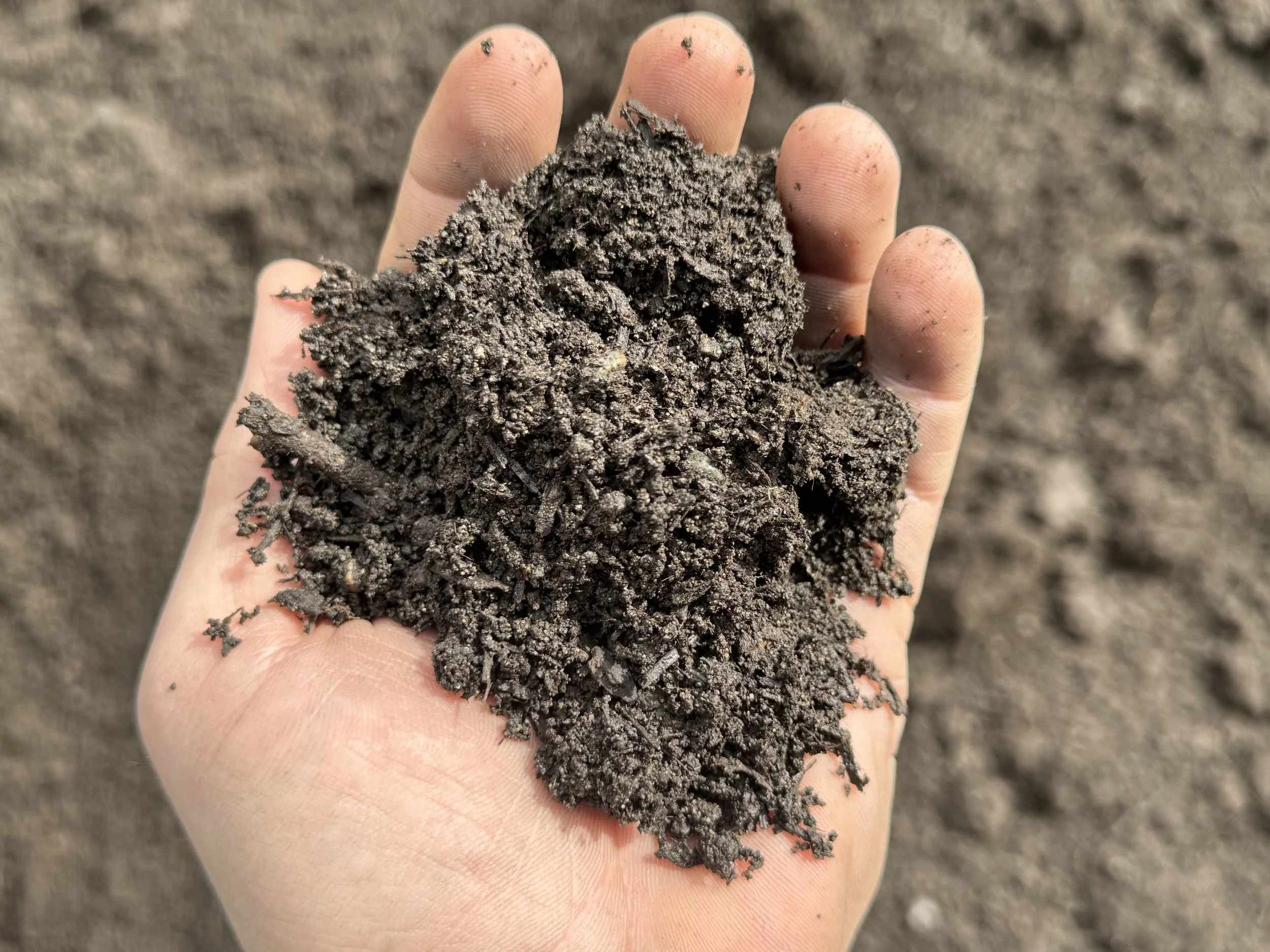A hand holding dark, rich soil outdoors with a blurred soil background.