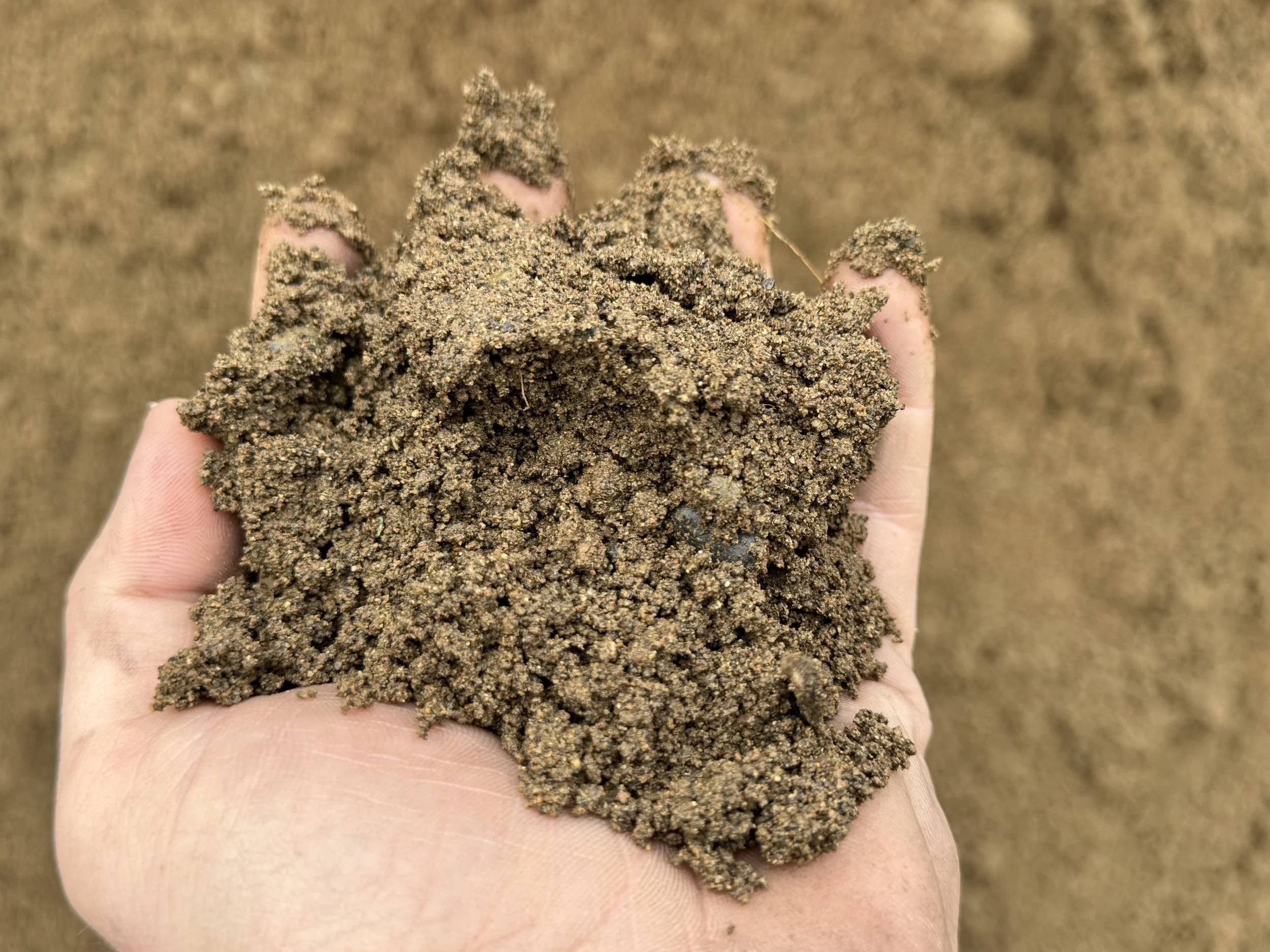 A person's hand holding a clump of dark, moist soil