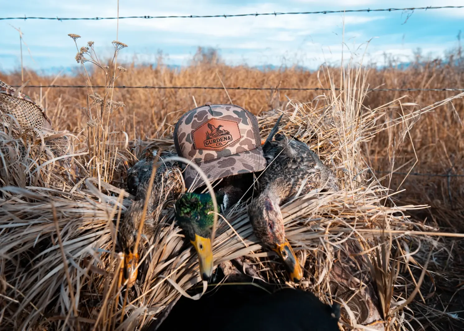 Montana-Duck-Hunting-Gurden-Outdoor-Grayson-Buckner-Media (10).webp