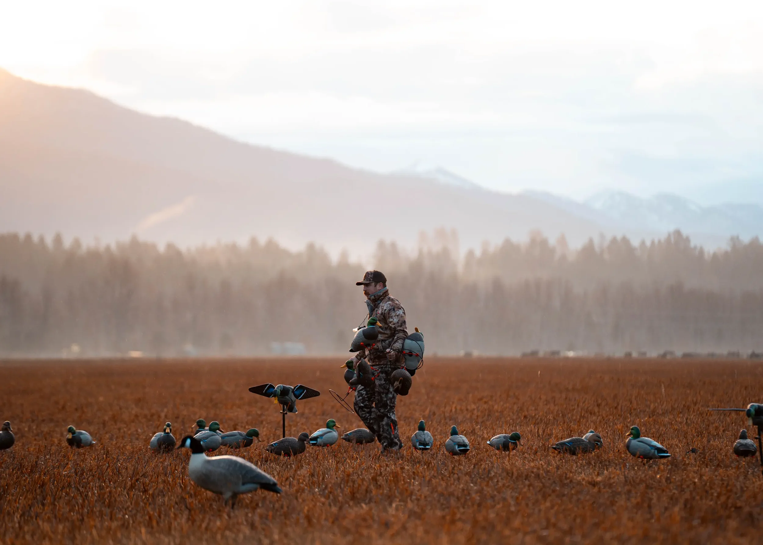 Montana-Duck-Hunting-Gurden-Outdoor-Grayson-Buckner-Media (25).webp