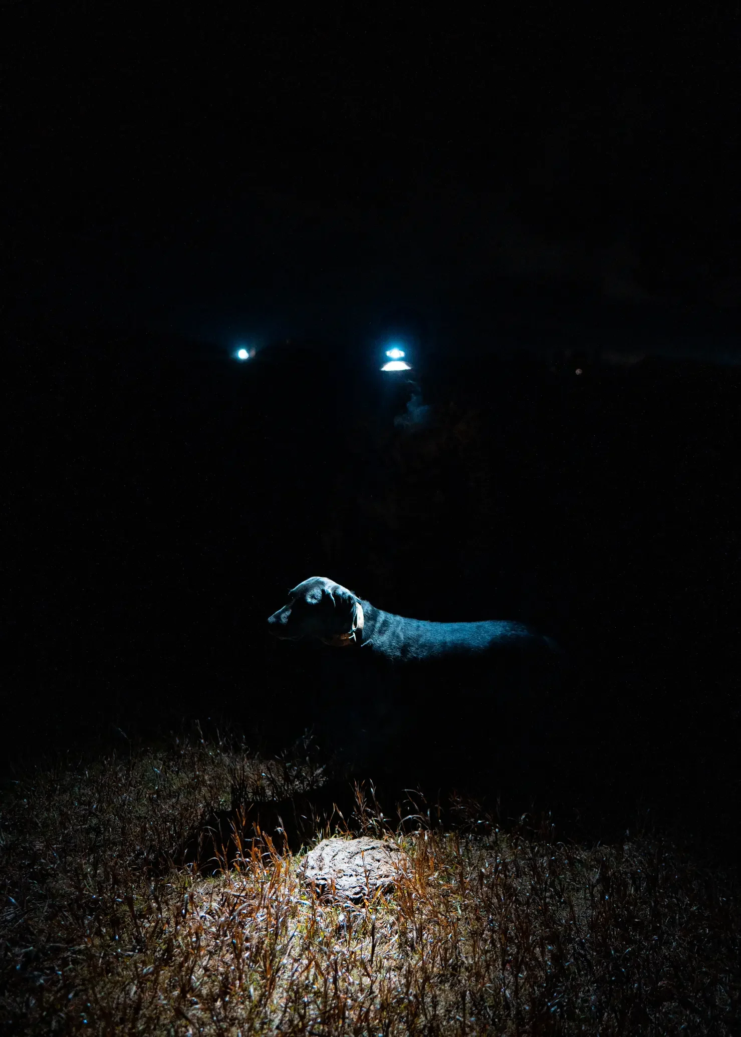 Montana-Duck-Hunting-Gurden-Outdoor-Grayson-Buckner-Media (3).webp