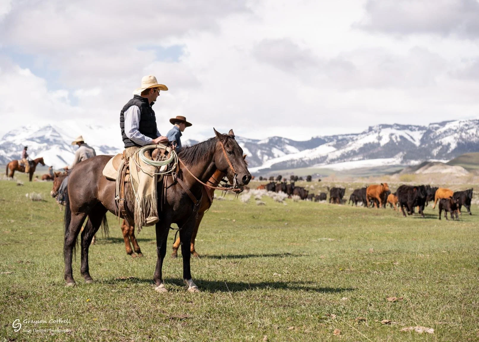 Man wearing a white cowboy hat sitting on his horse, watching over cattle in a pasture at the base of snow-covered peaks during a ranch action photoshoot at Pitchfork Ranch, Wyoming