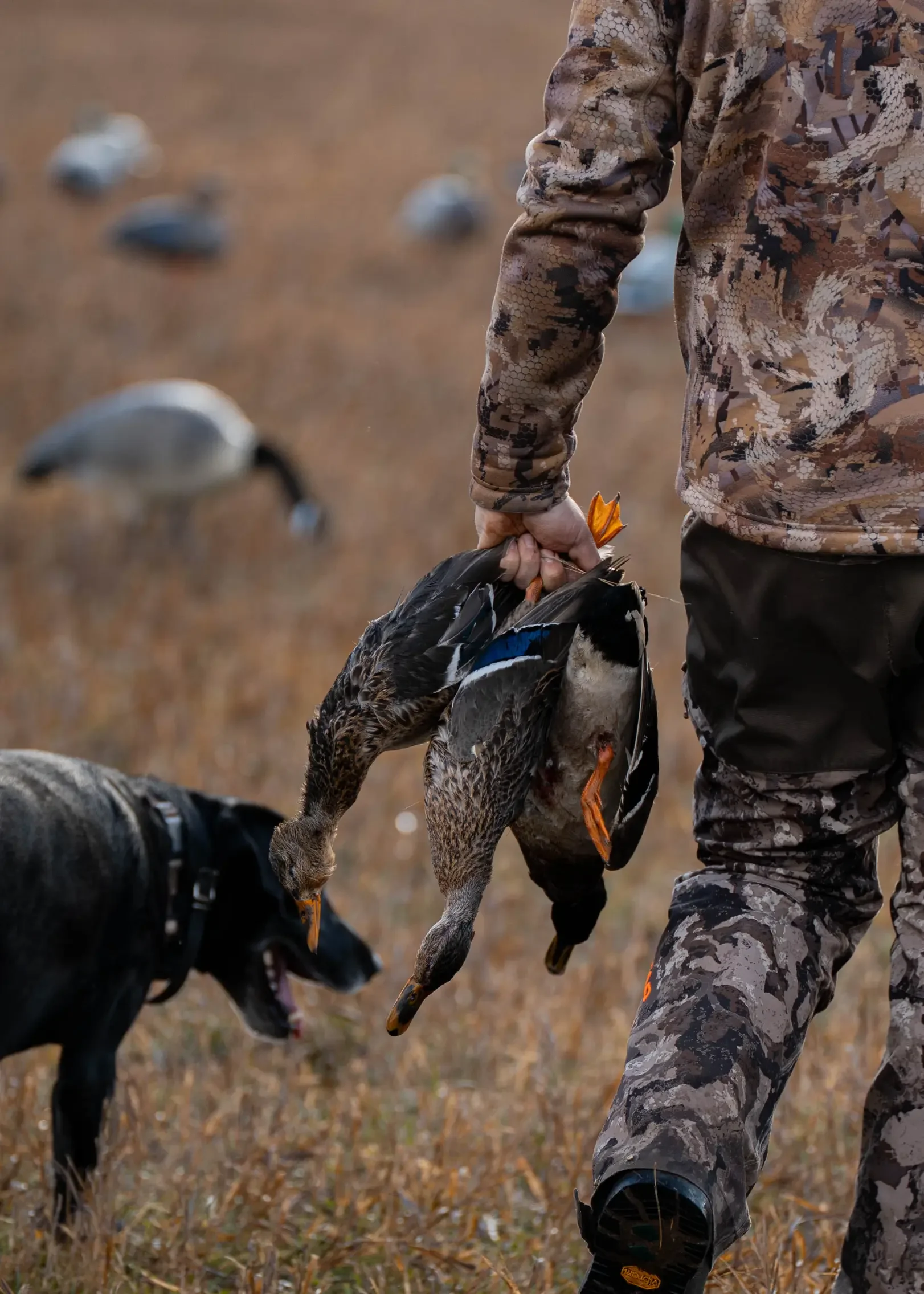 Montana-Duck-Hunting-Gurden-Outdoor-Grayson-Buckner-Media (30).webp