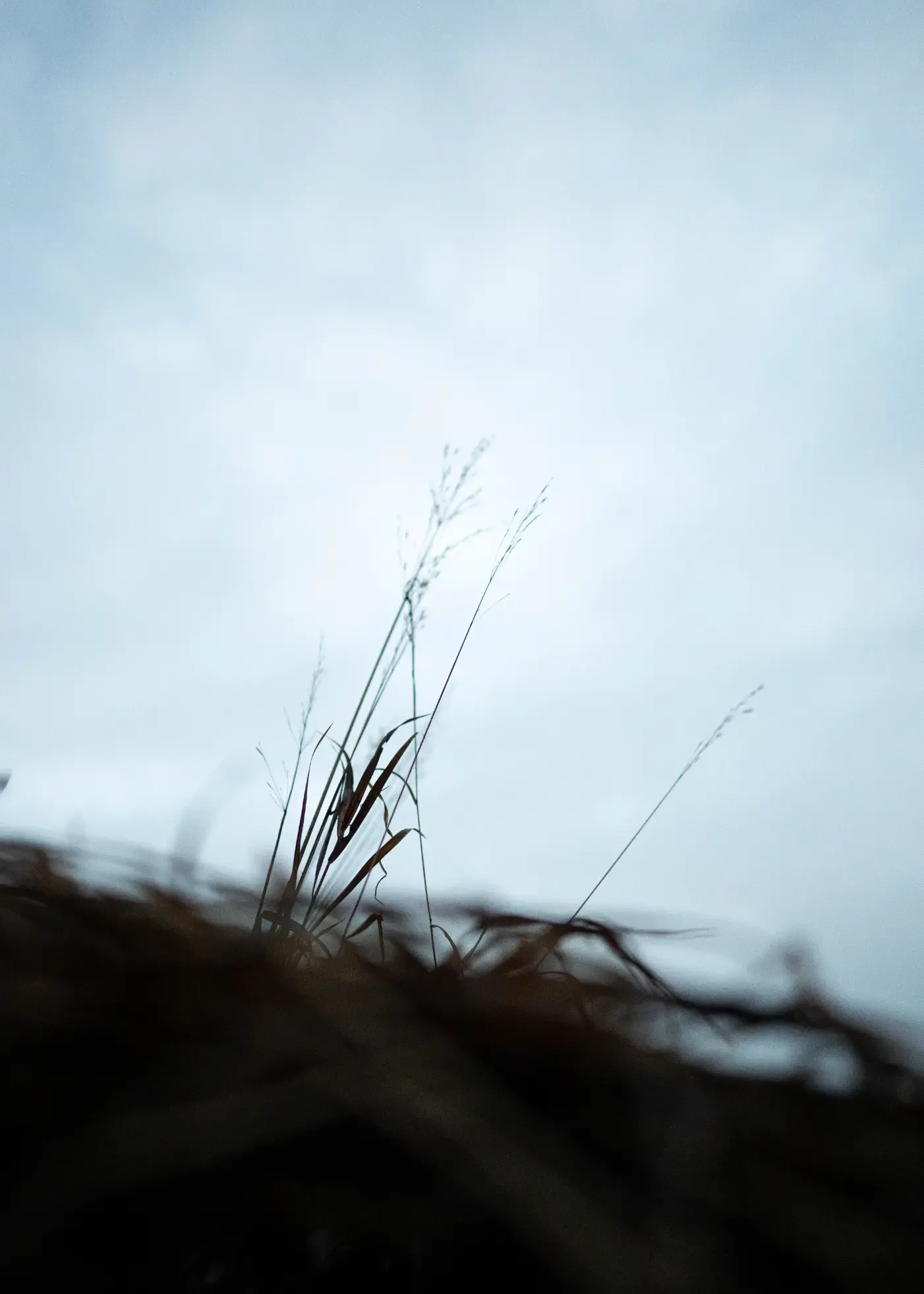 Montana-Duck-Hunting-Gurden-Outdoor-Grayson-Buckner-Media (5).webp