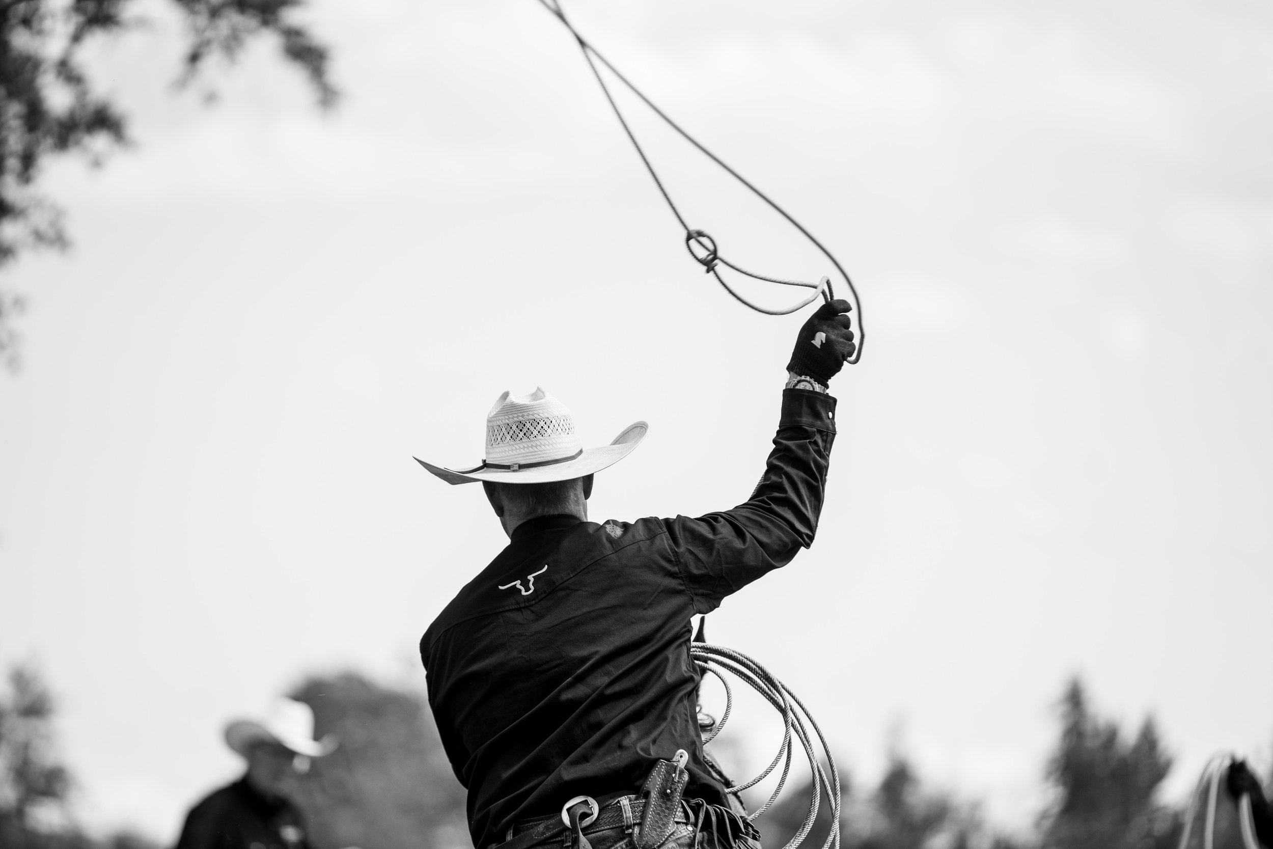 Rear view of a cowboy swinging a rope while riding a horse at Montana Longhorn Ranch, captured during a ranch action photoshoot.