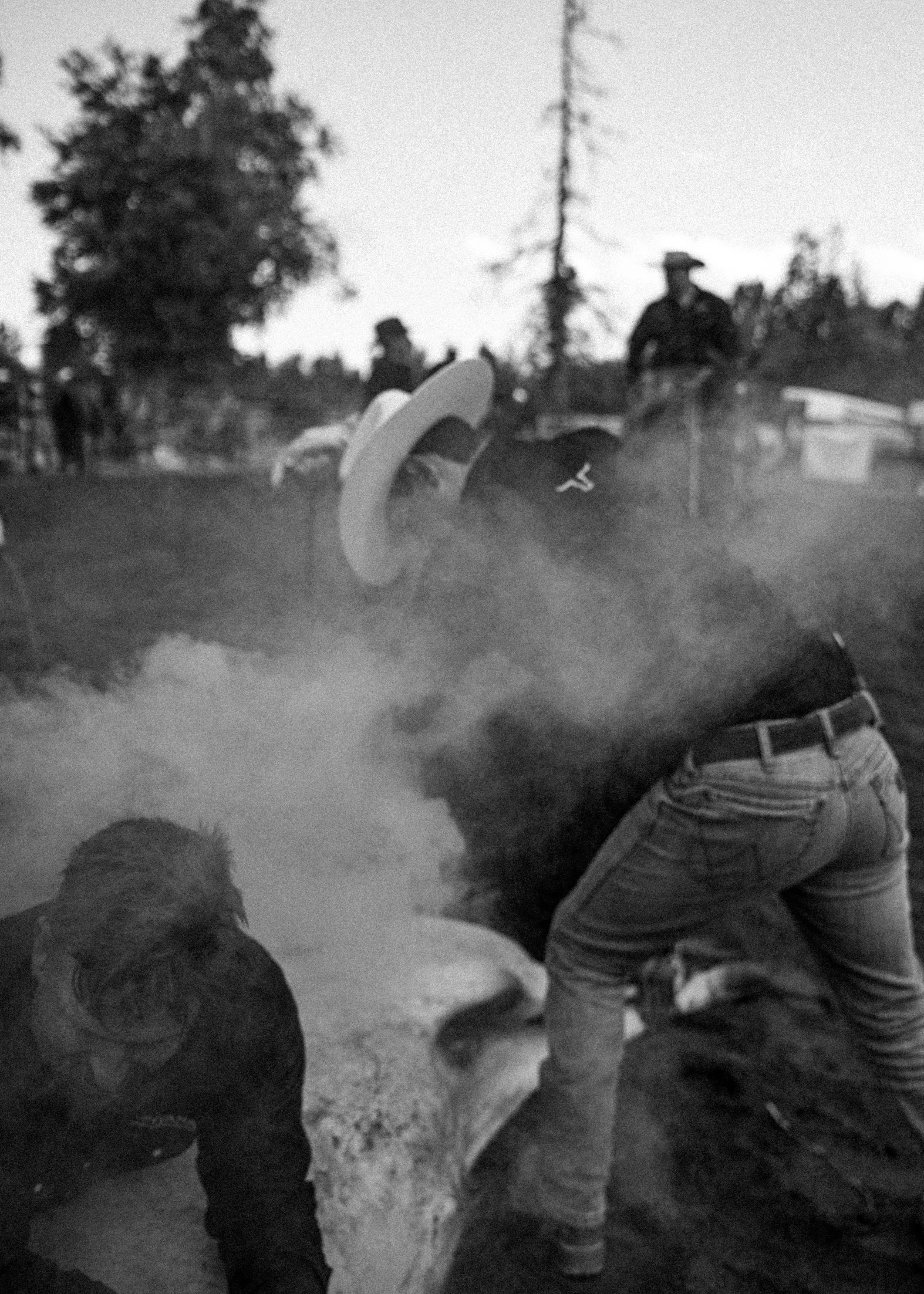 Black-and-white photo of a group of men holding a cow down during a cattle branding at Montana Longhorn Ranch