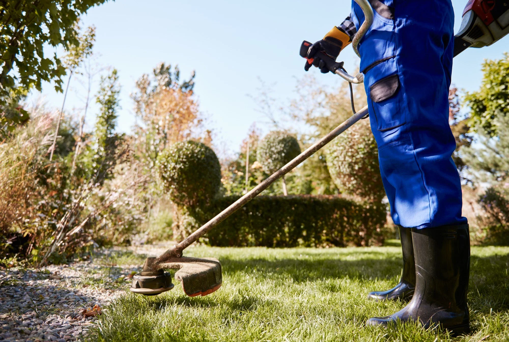 Person in blue overalls using a grass trimmer to maintain a lawn in a garden with trees and bushes.