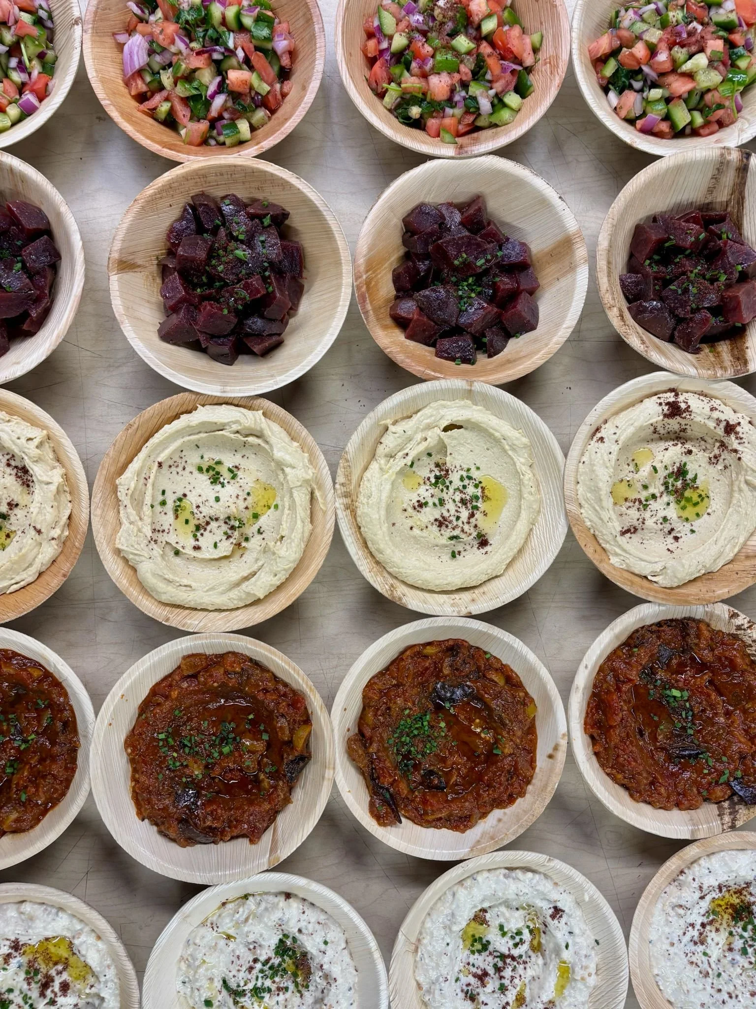 Multiple bowls of different types of dips and salads, including hummus, beet hummus, and a tomato-based dish, garnished with herbs and olive oil.
