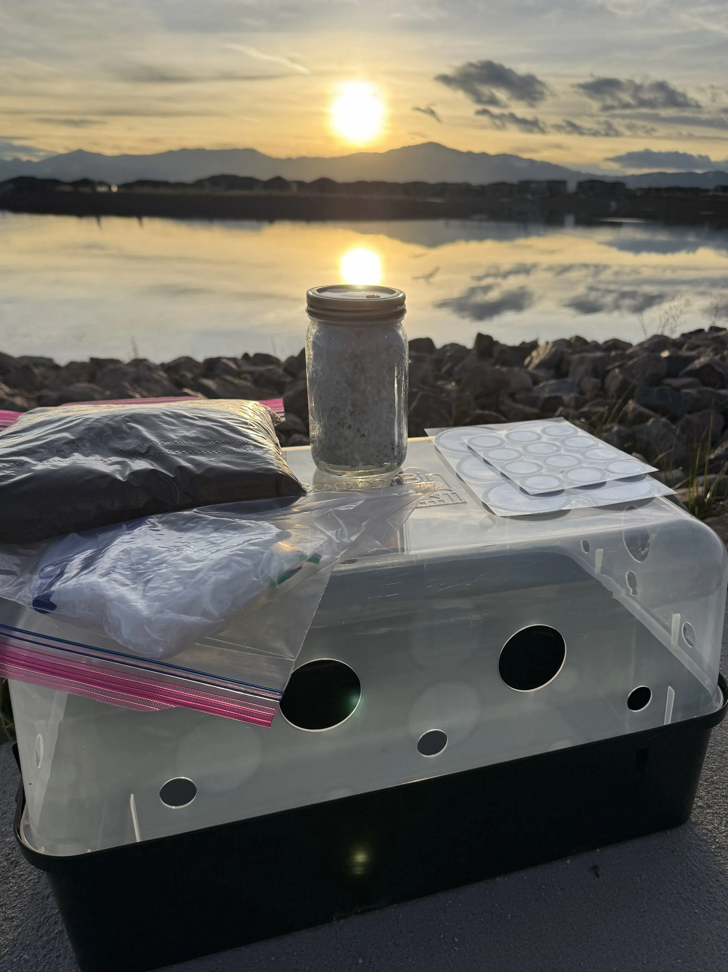 North Spore 'Boomr Bin' Premium Grow Kit