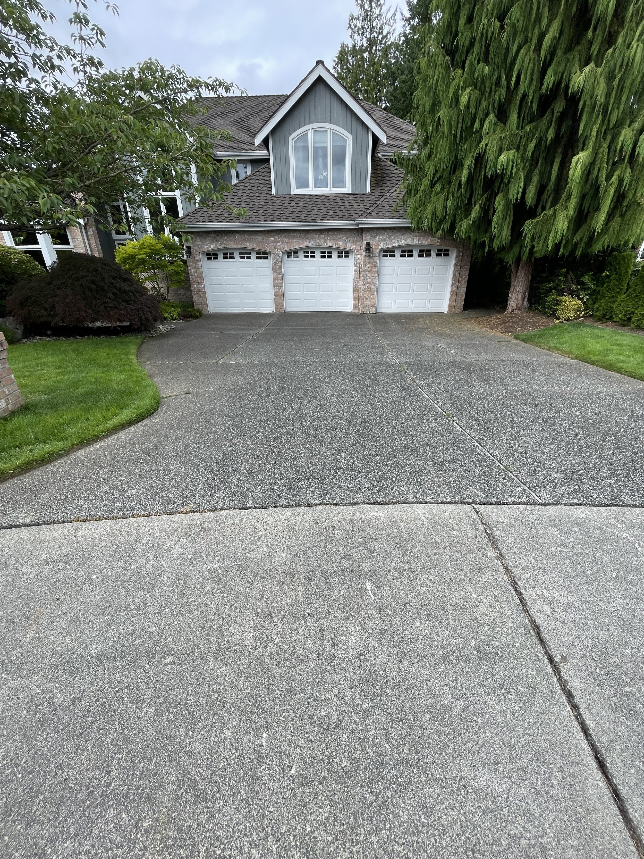 Driveway Before