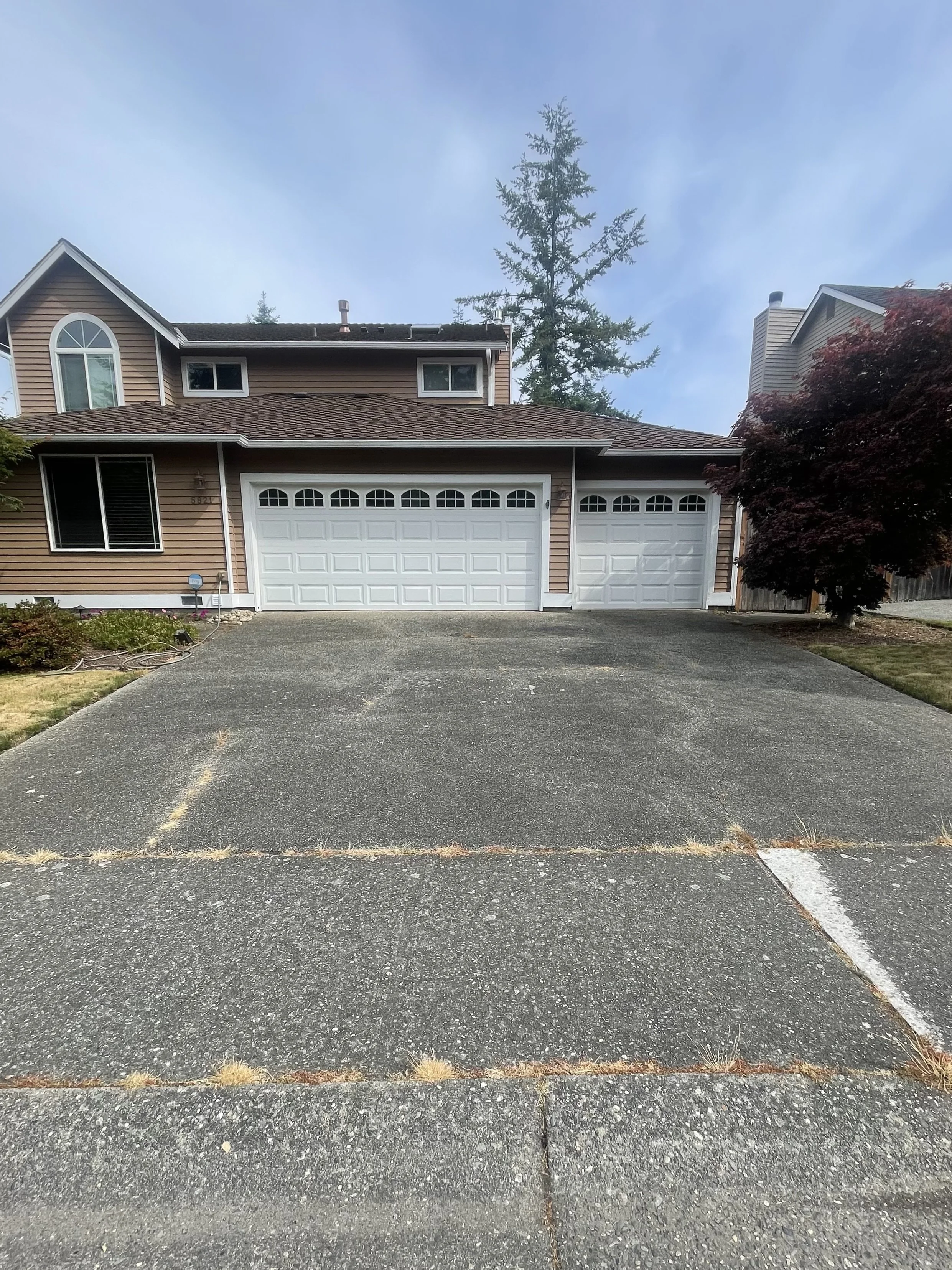 Driveway Before