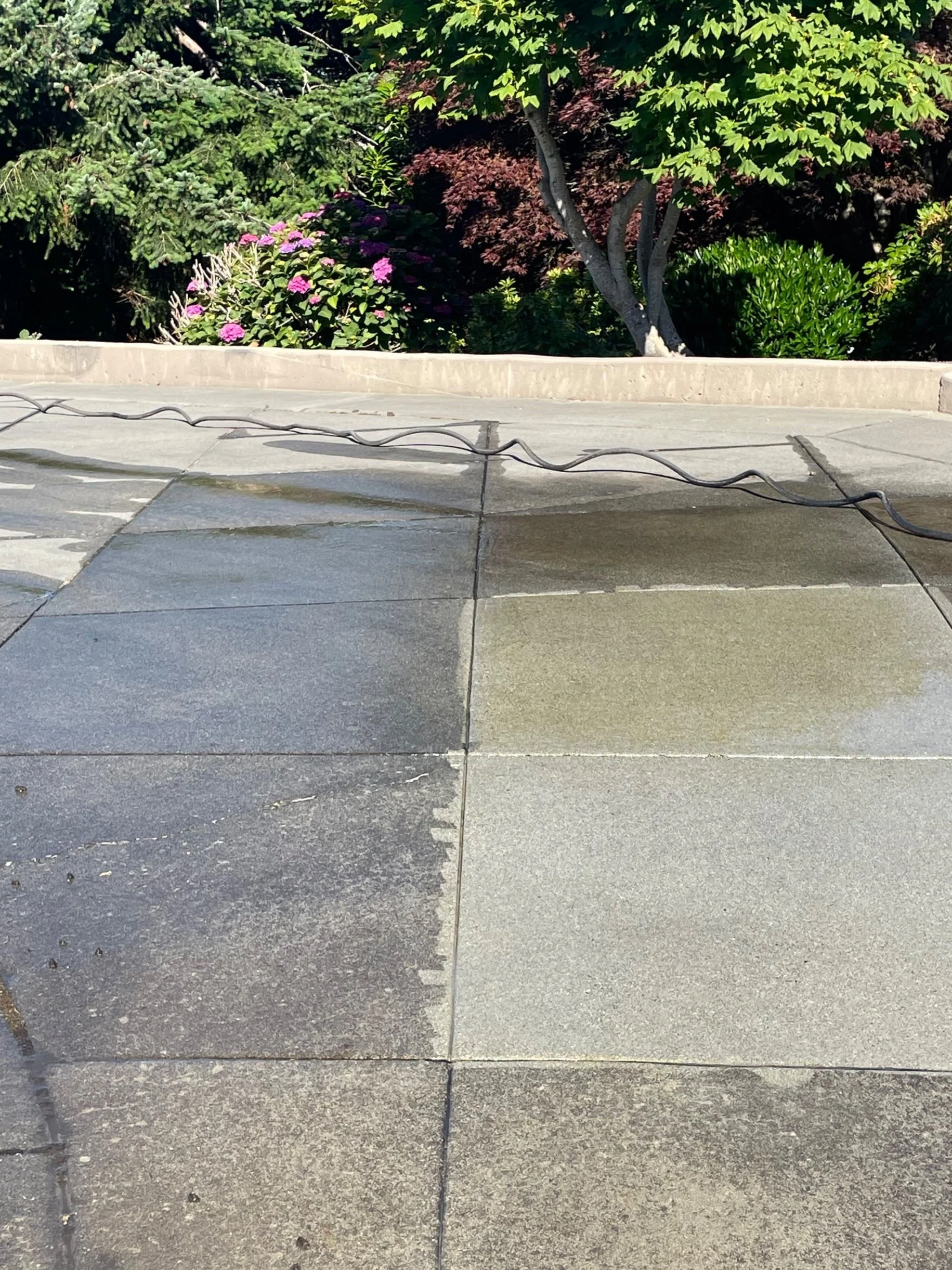 Driveway 50/50