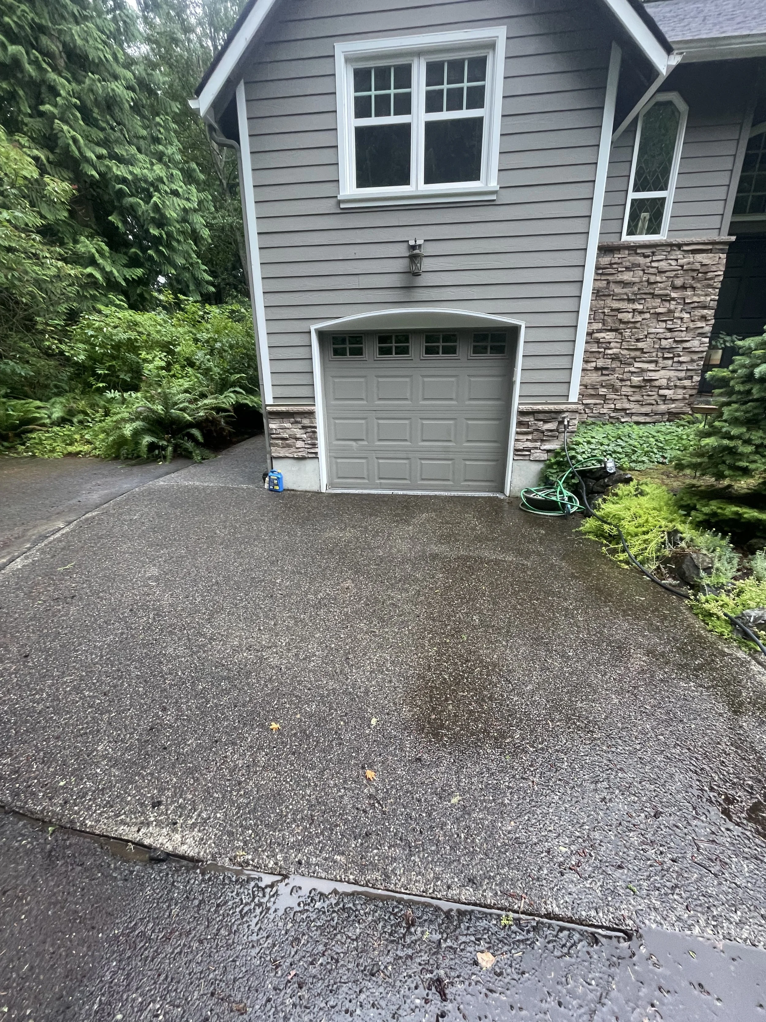 Driveway Before