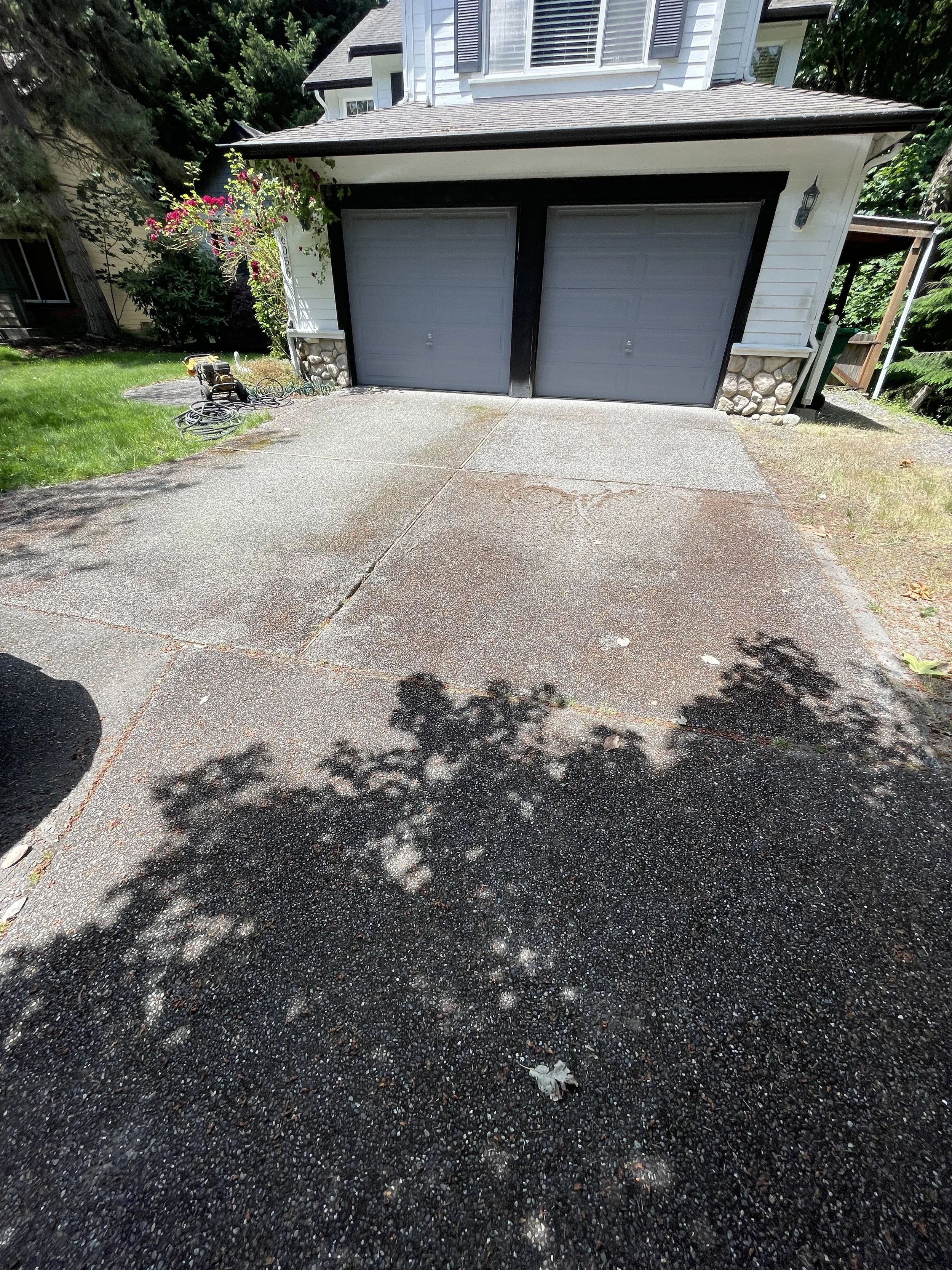 Driveway Before