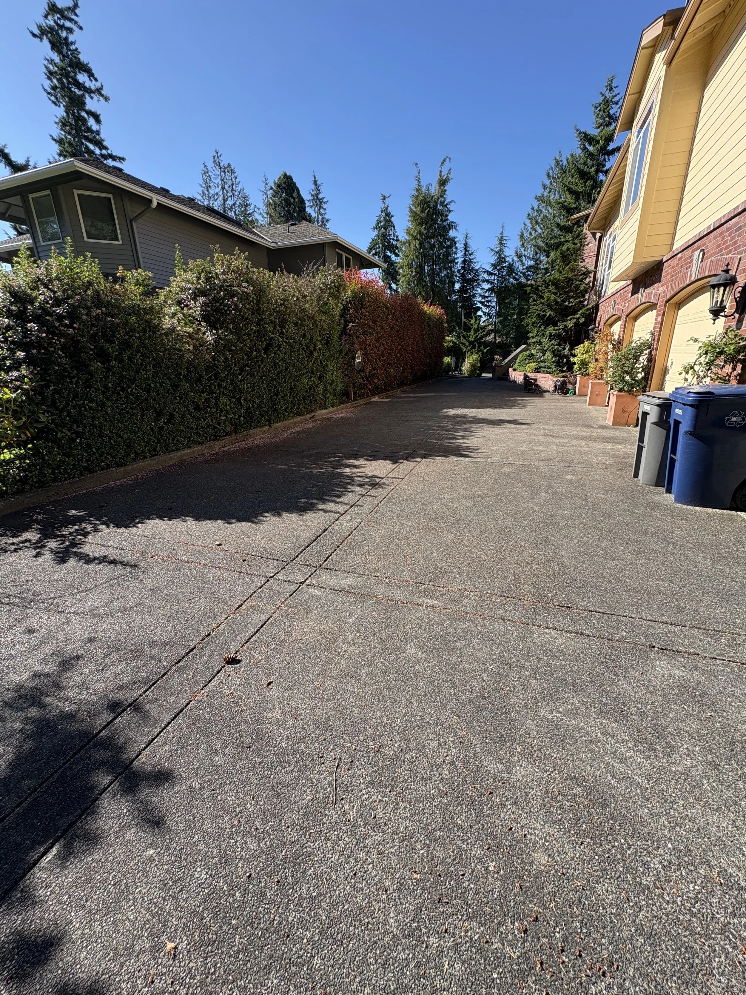 Driveway Before