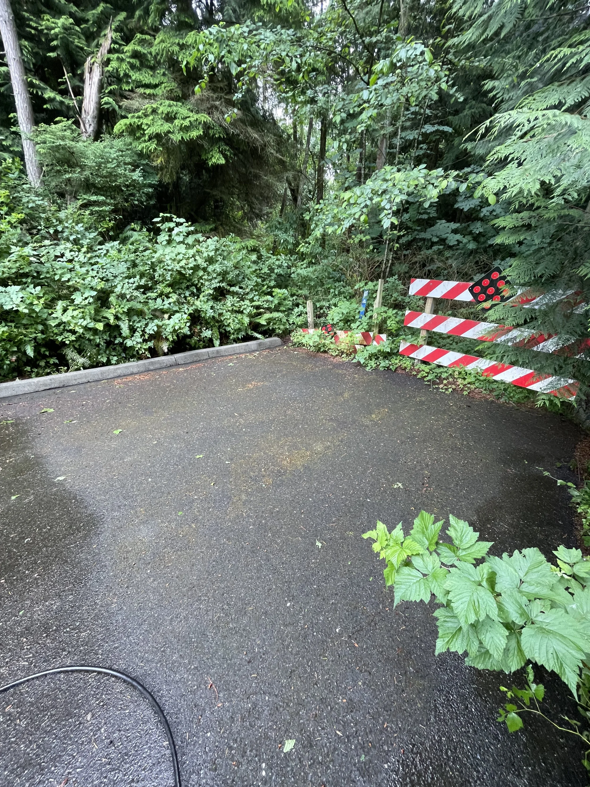 Road Before