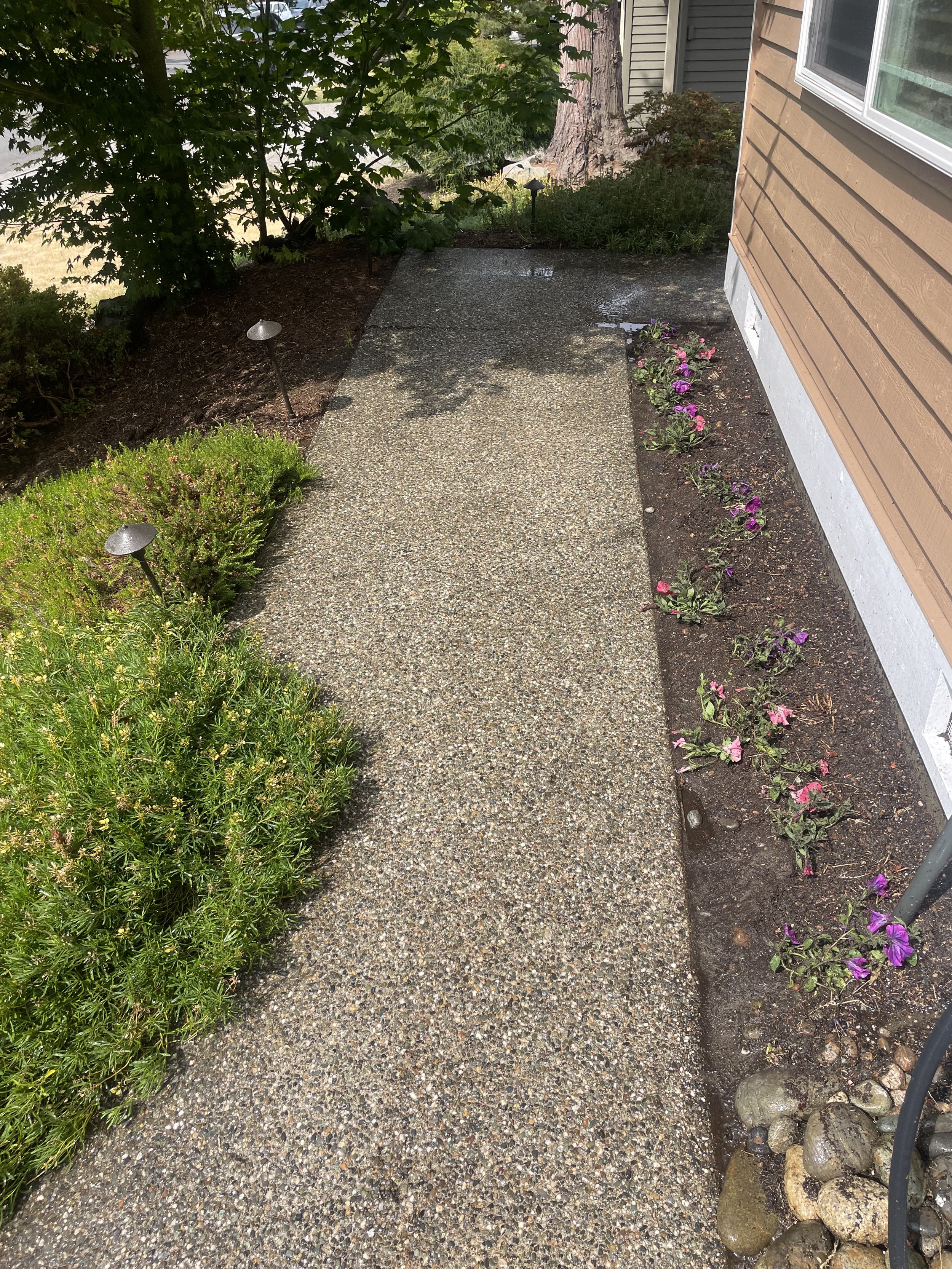 Walkway After