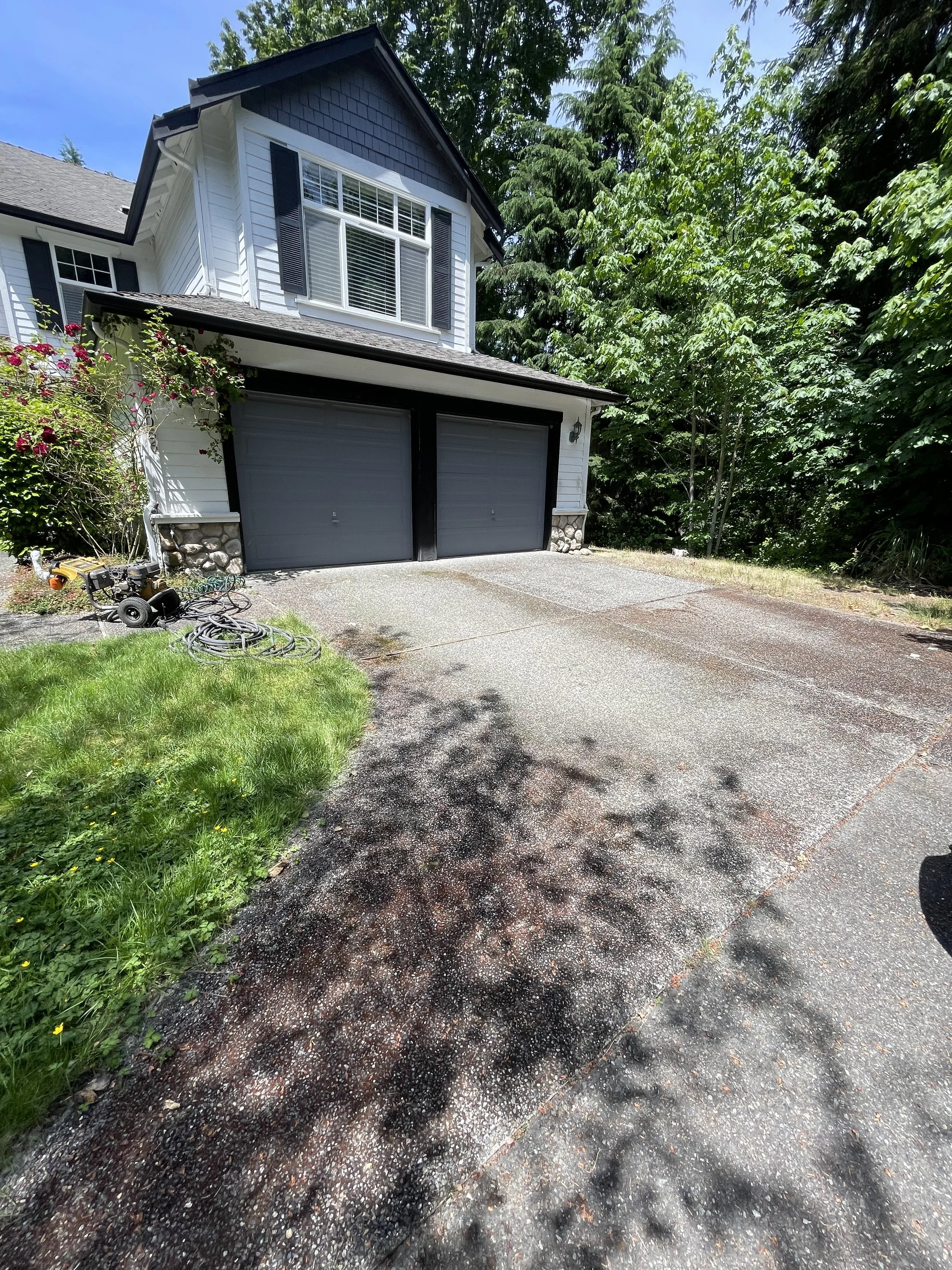 Driveway Before