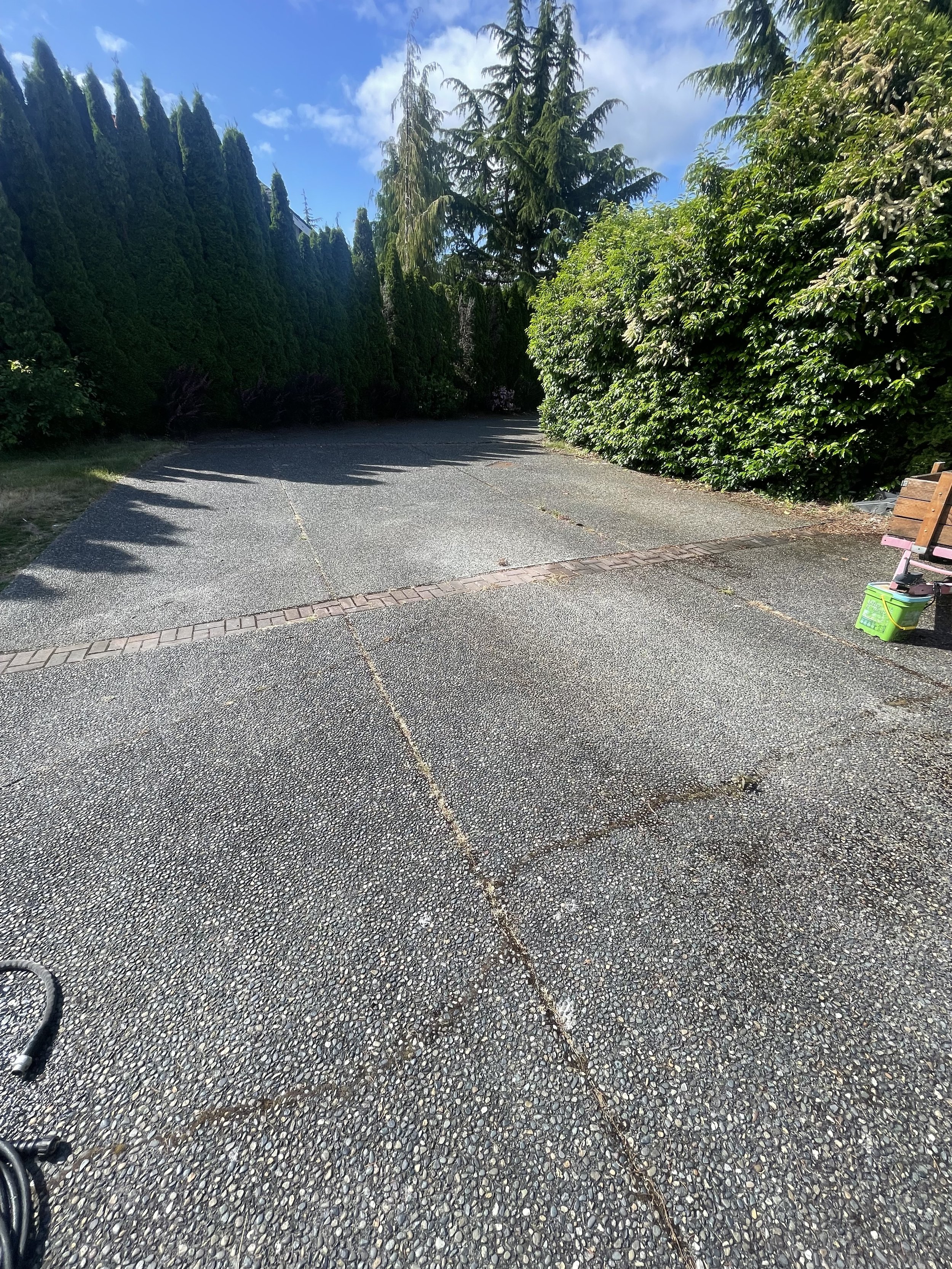 Driveway Before