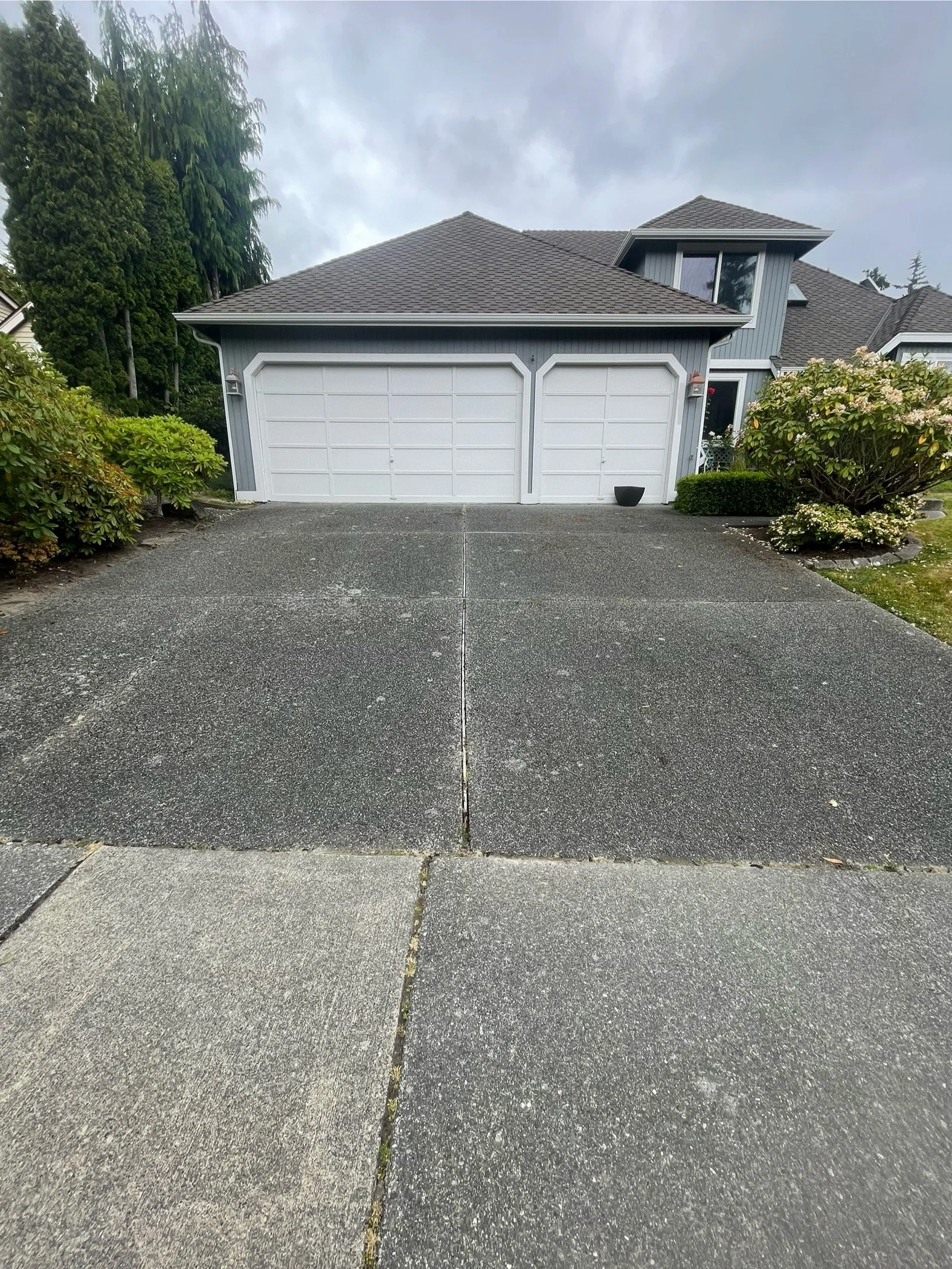 Driveway Before