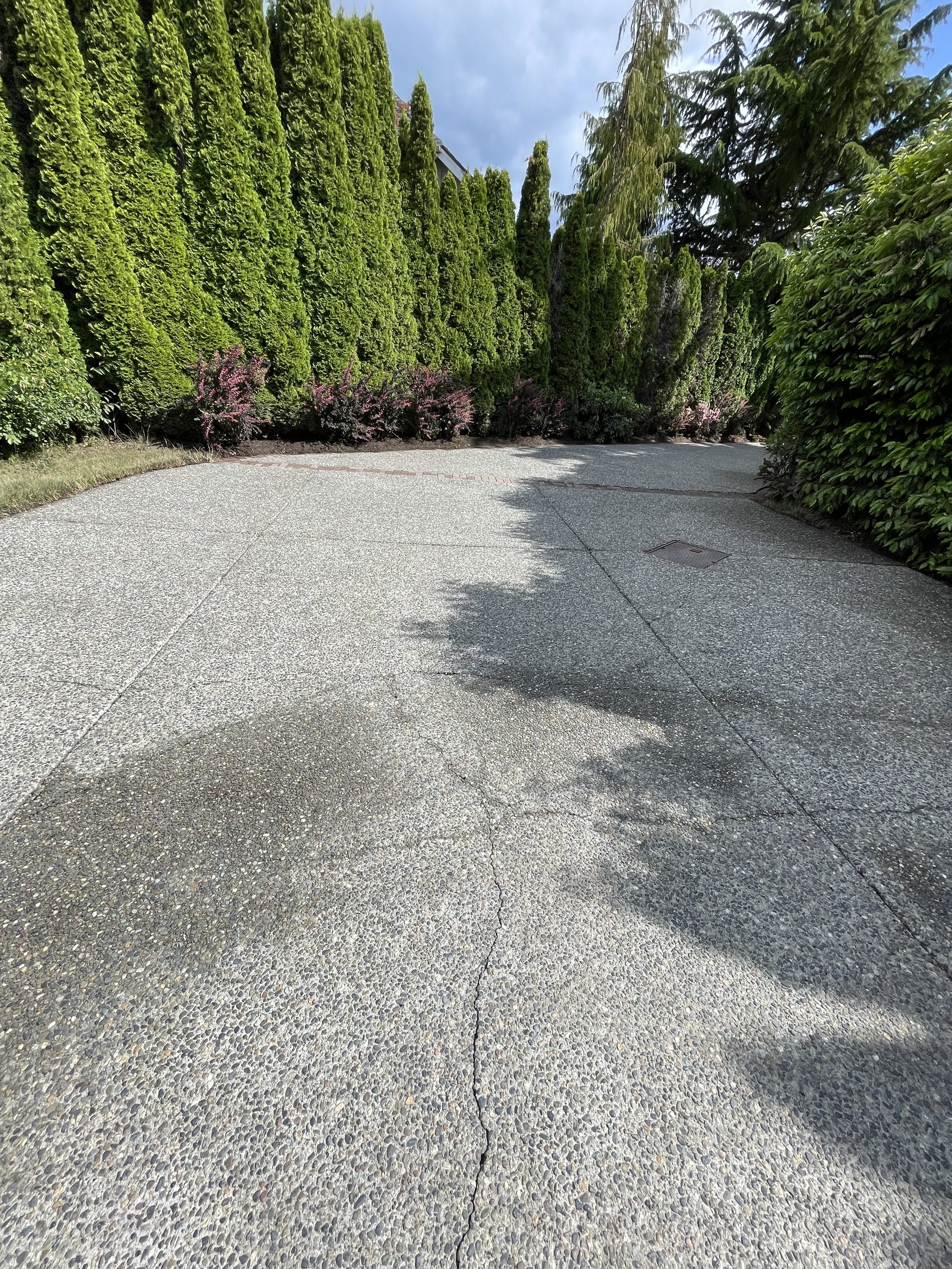 Driveway After