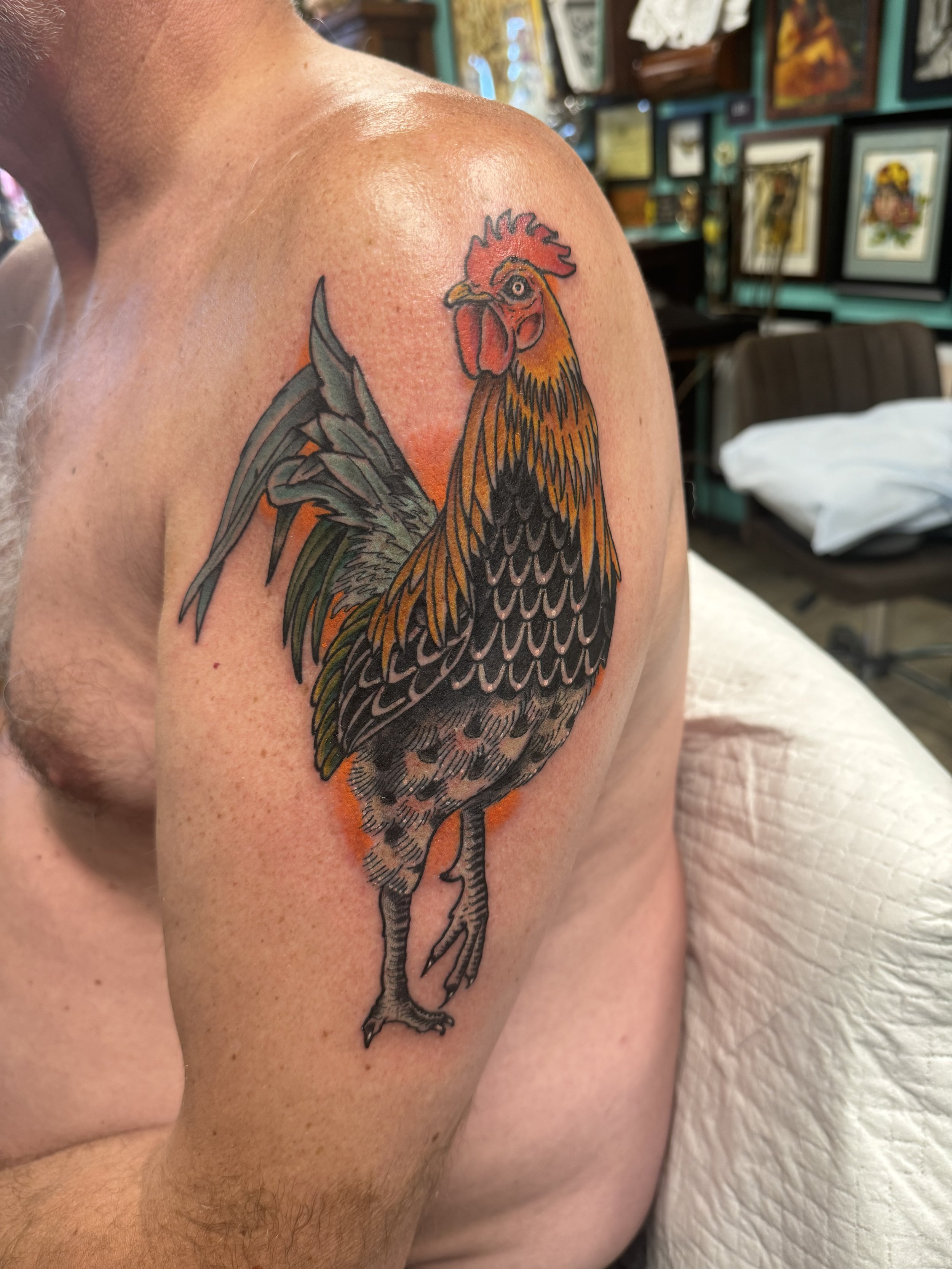 Rooster