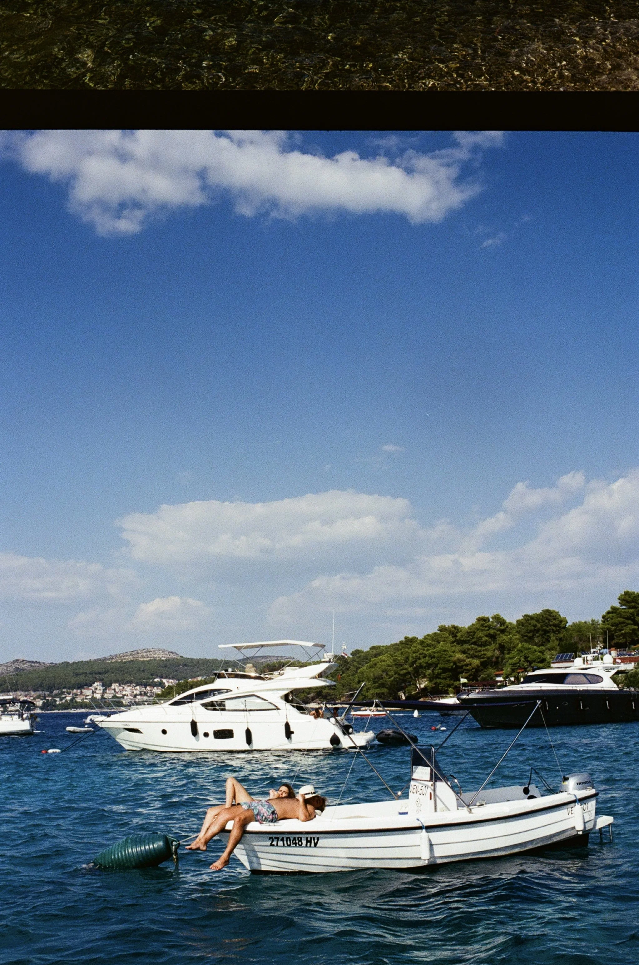 IMG_8770.jpg
