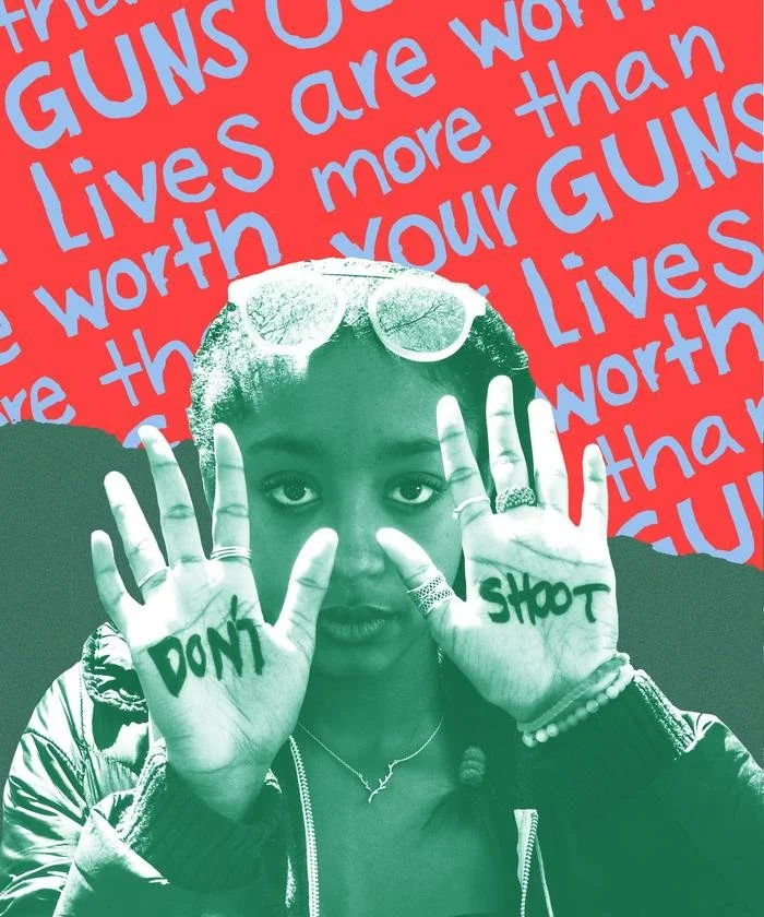 FulopLily_GunReform_States_2000x2400_opener.jpeg