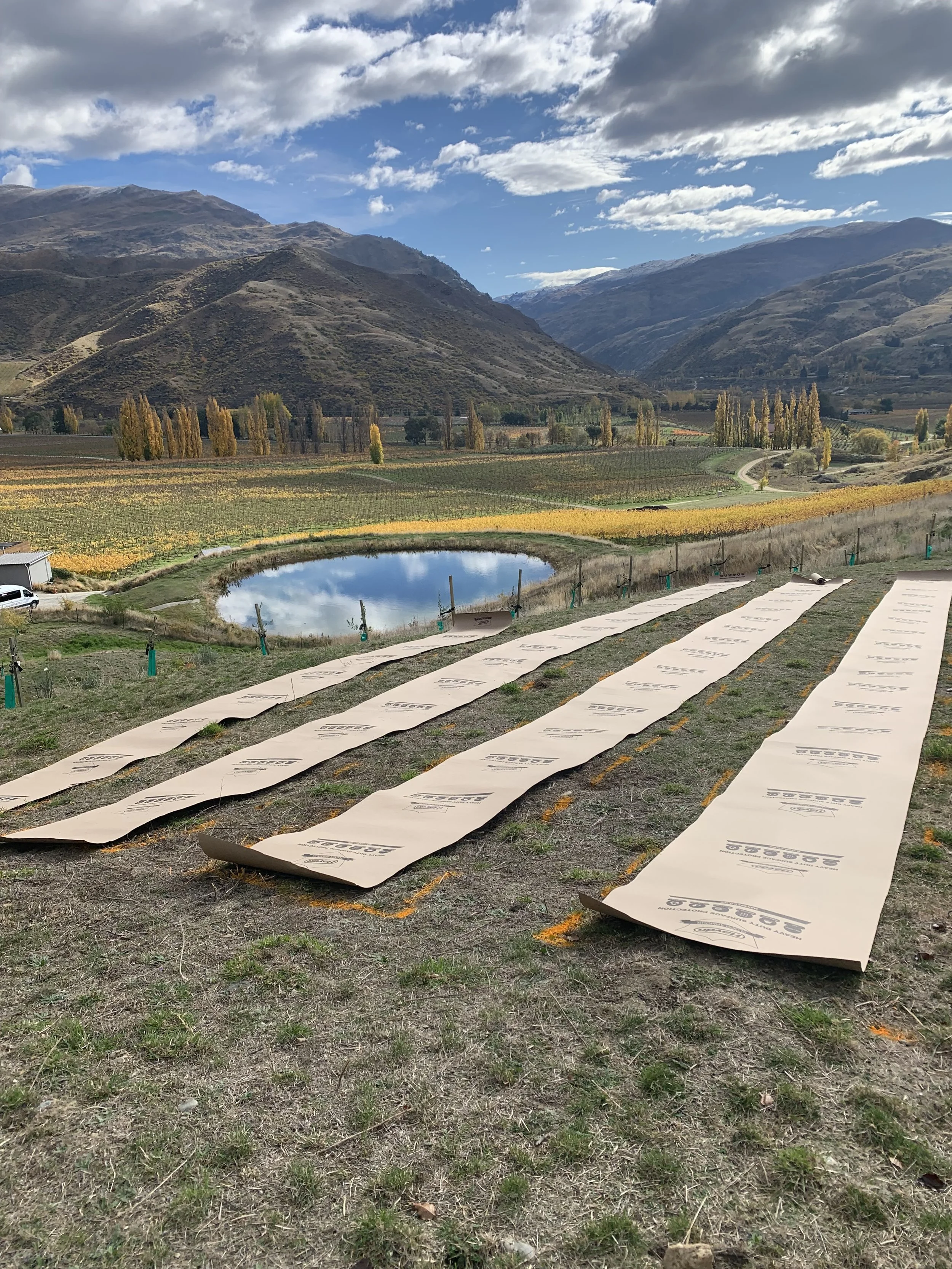 Several large paper bags laid flat on the ground in a scenic outdoor setting with mountains, trees, and a pond in the background.