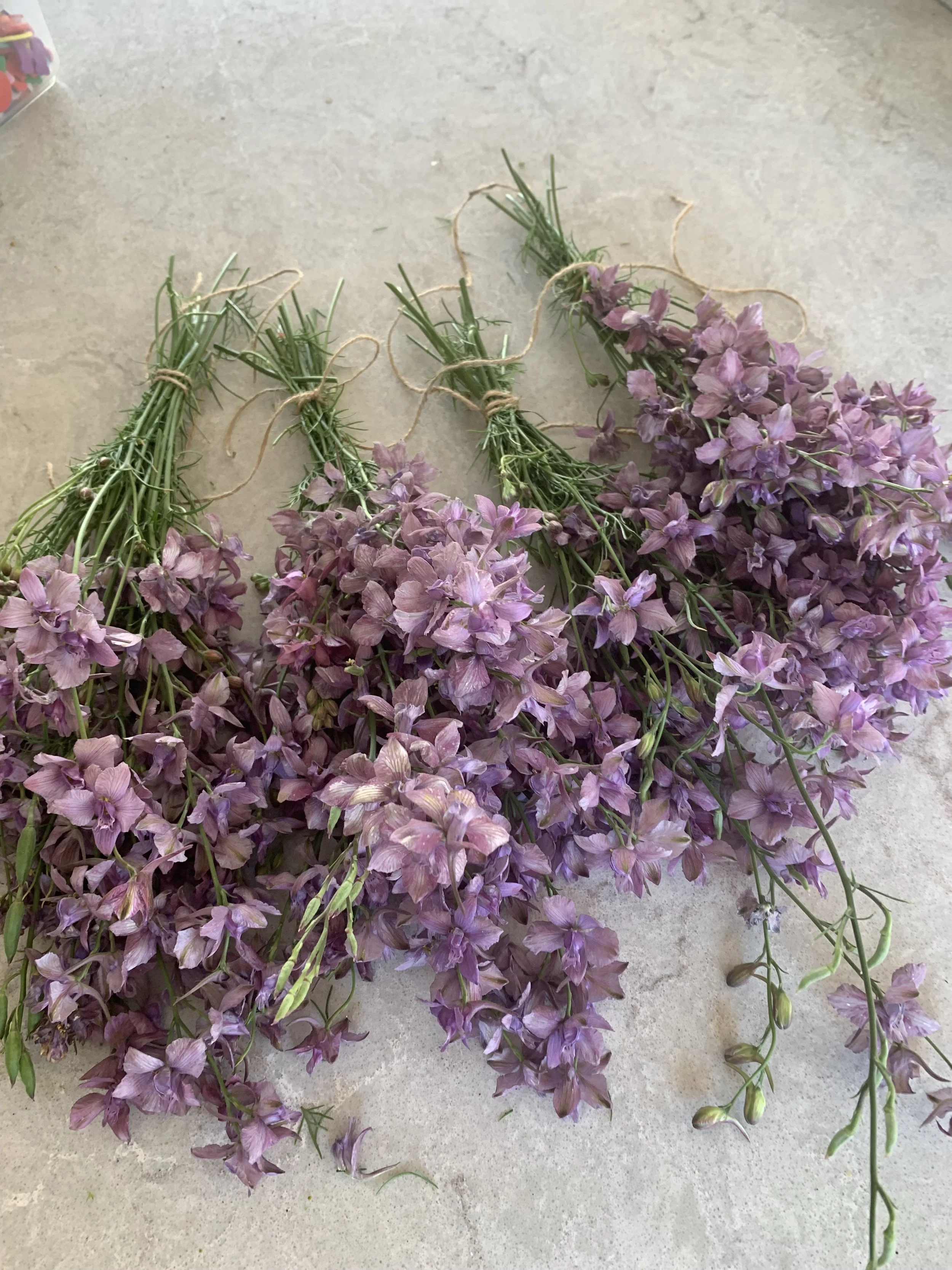 Bunches of purple flowers tied together with twine on a beige surface.