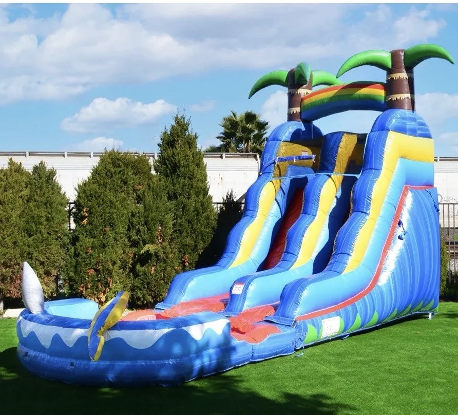 Tropical Palm Tree Water Slide Rental with Splash Pool - Sumner County TN