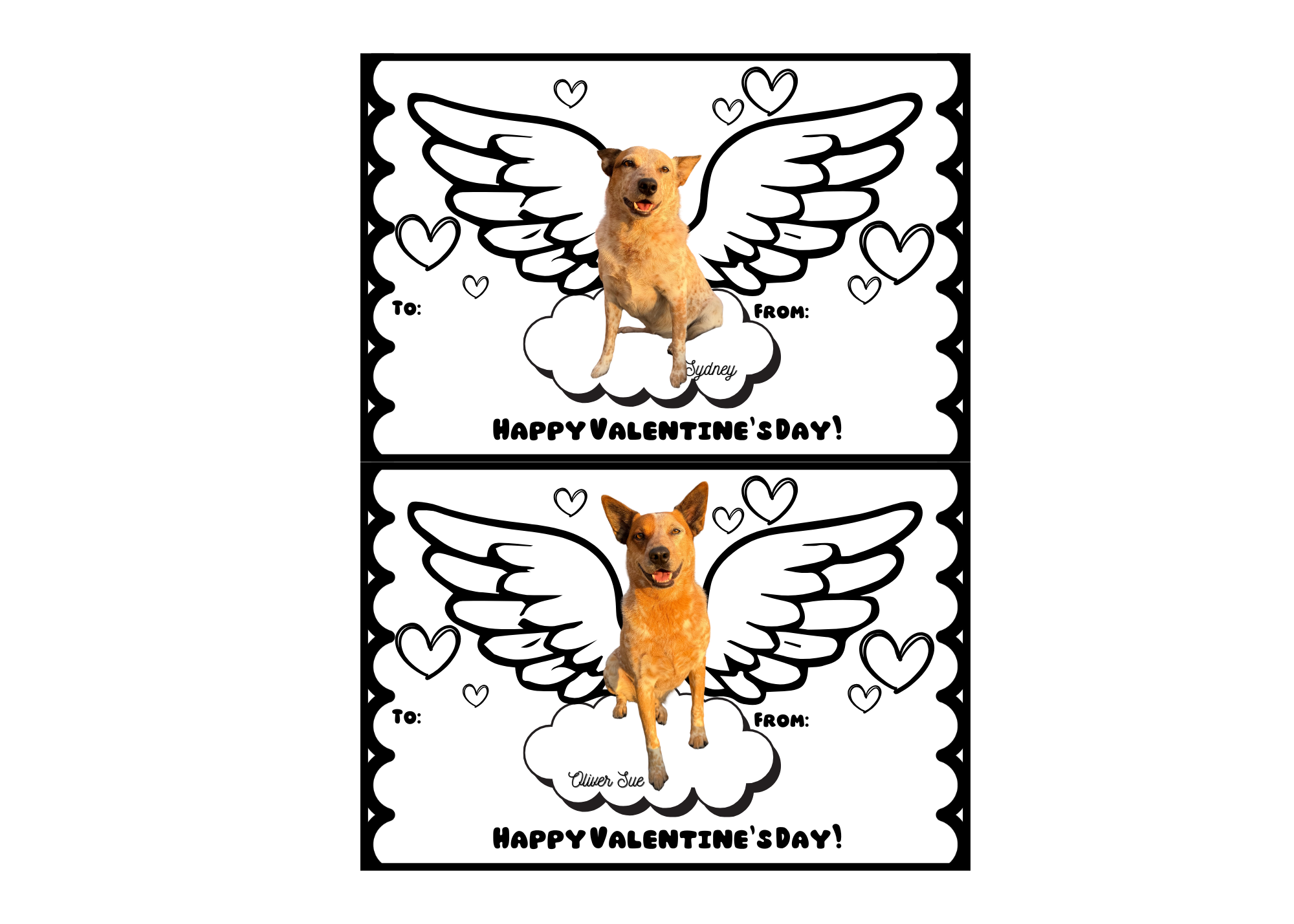 printful background.png