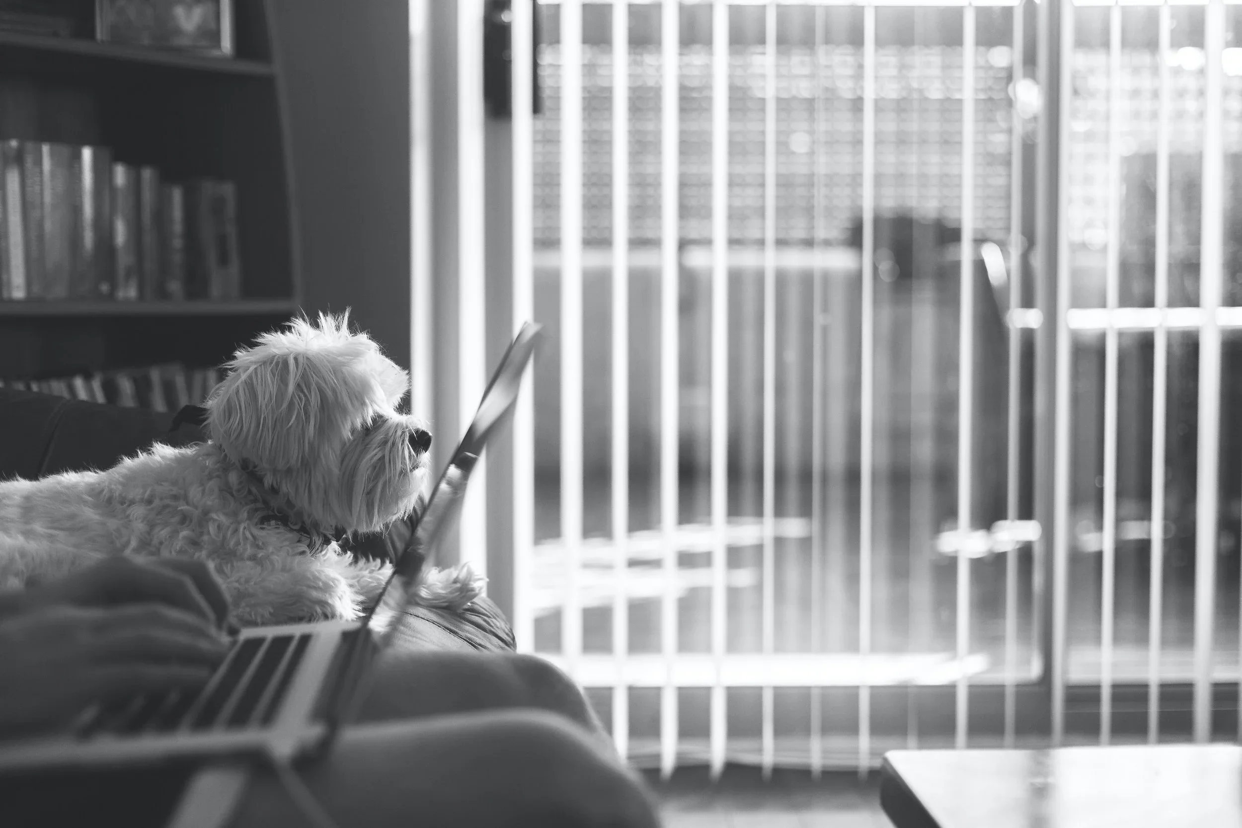 5 Reasons You Should Try Online Therapy