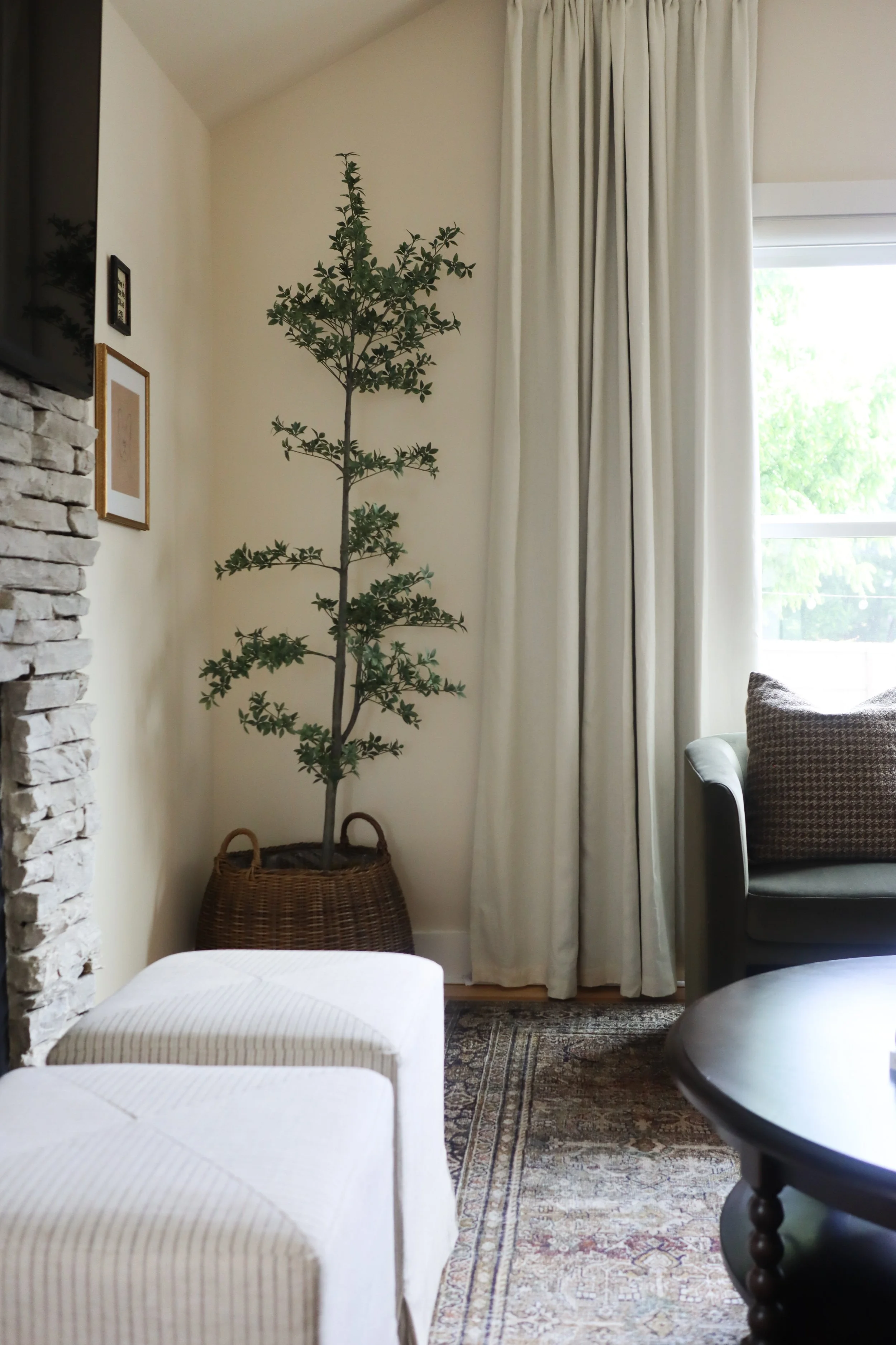 Transitional Living Room Remodel