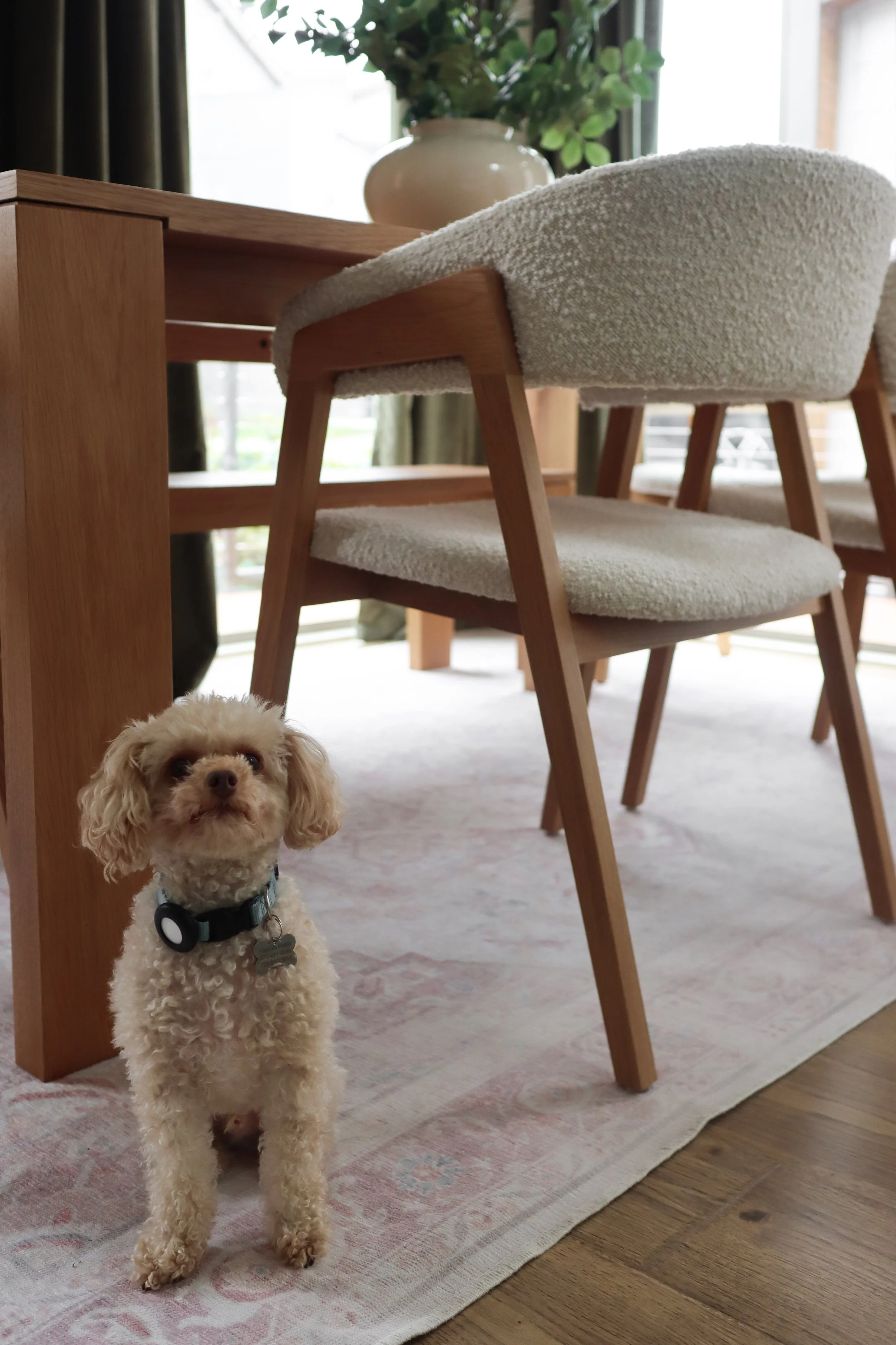 Vibrant and eclectic interior design project in a new build home. Featuring rich greens, playful pinks, and soft blues, this Nashville-area home reflects bold personality and modern charm.