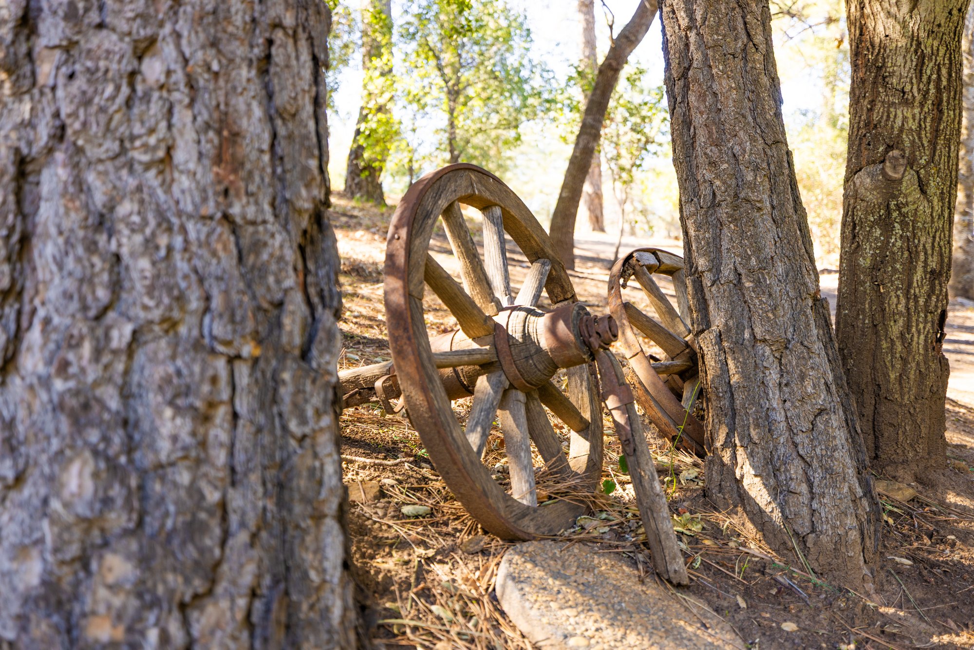 Sacred Mountain Ranch-08.jpg