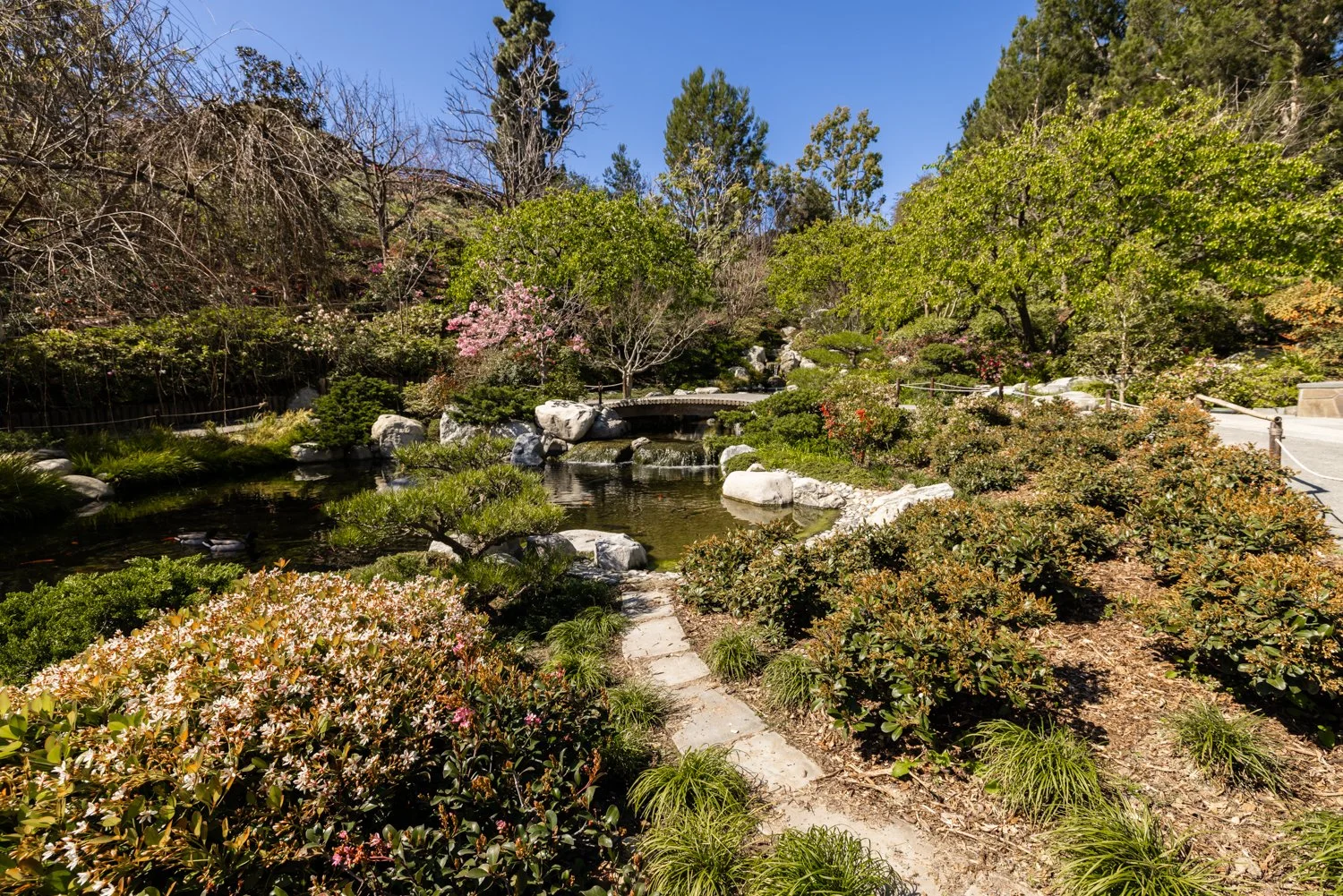 Japanese Friendship Garden-10.jpg
