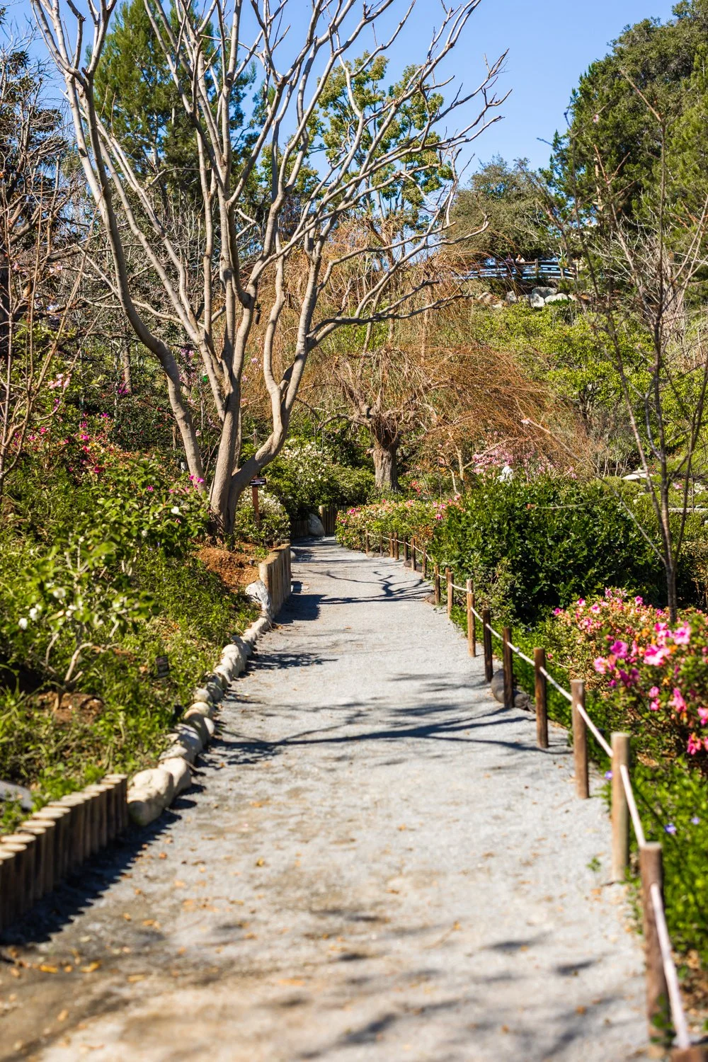 Japanese Friendship Garden-04.jpg