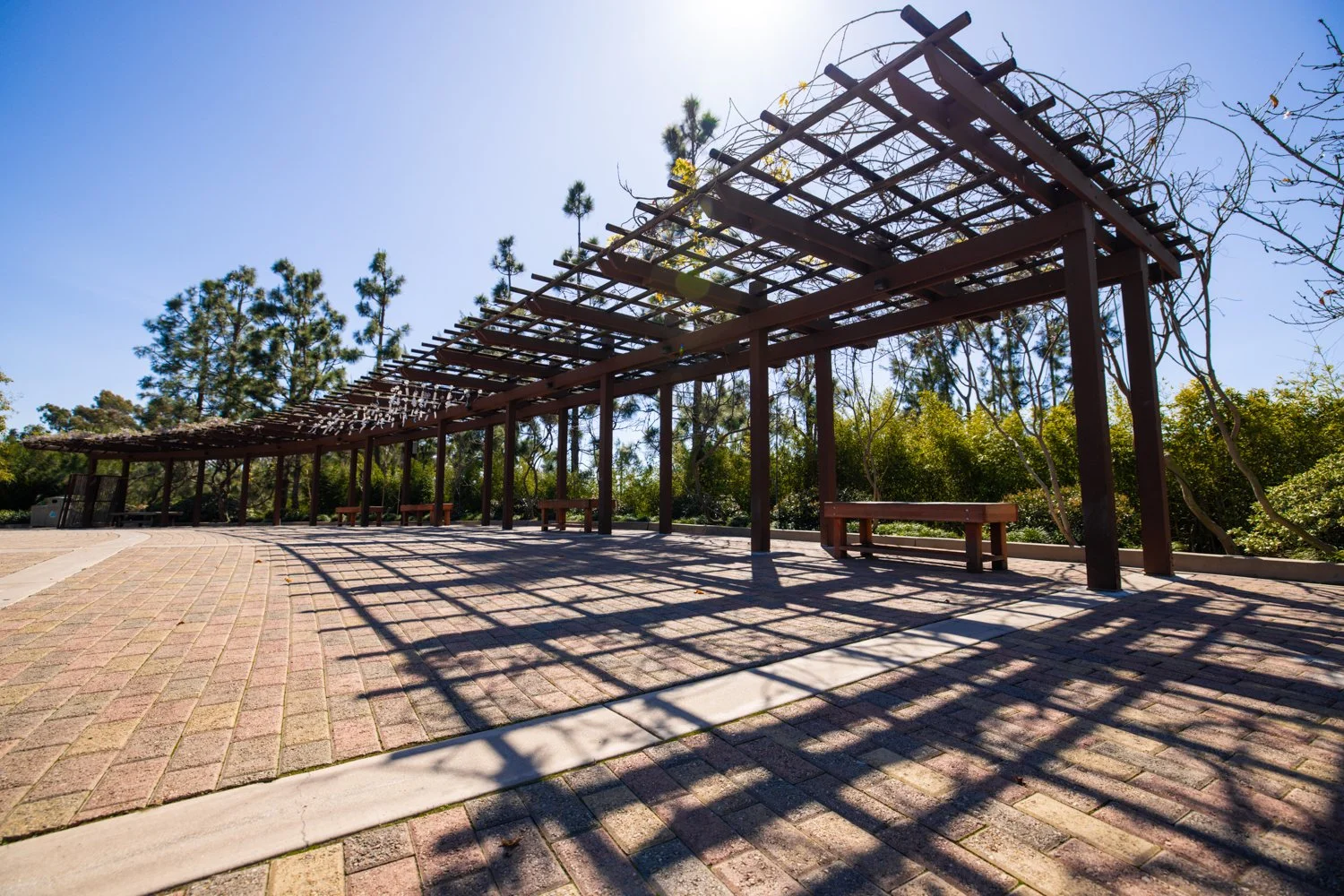 Japanese Friendship Garden-27.jpg