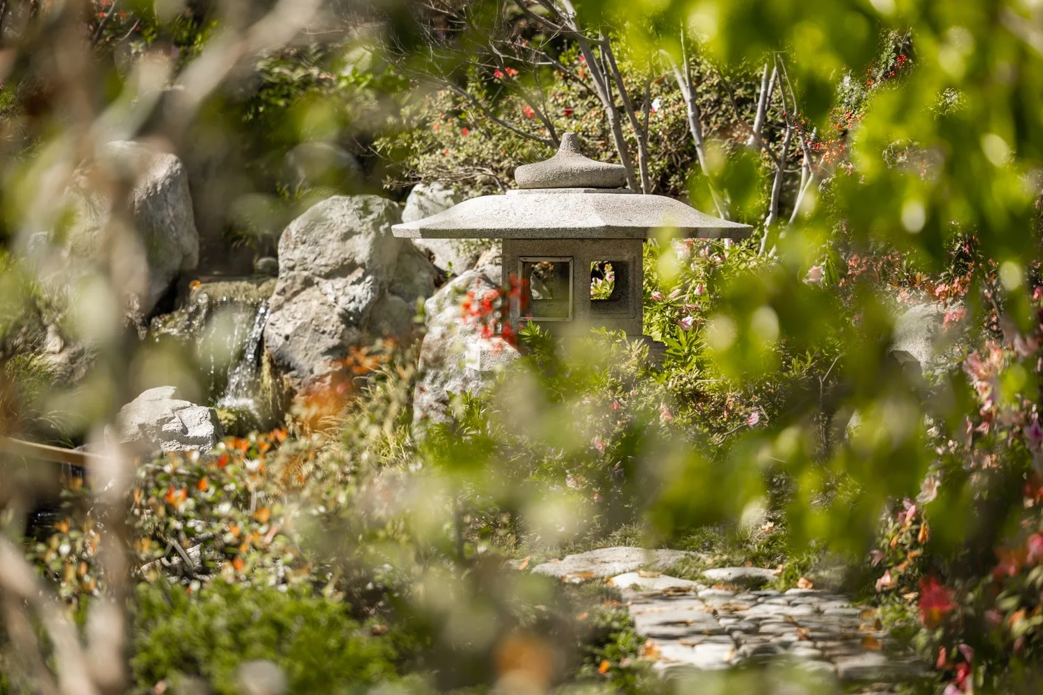 Japanese Friendship Garden-08.jpg