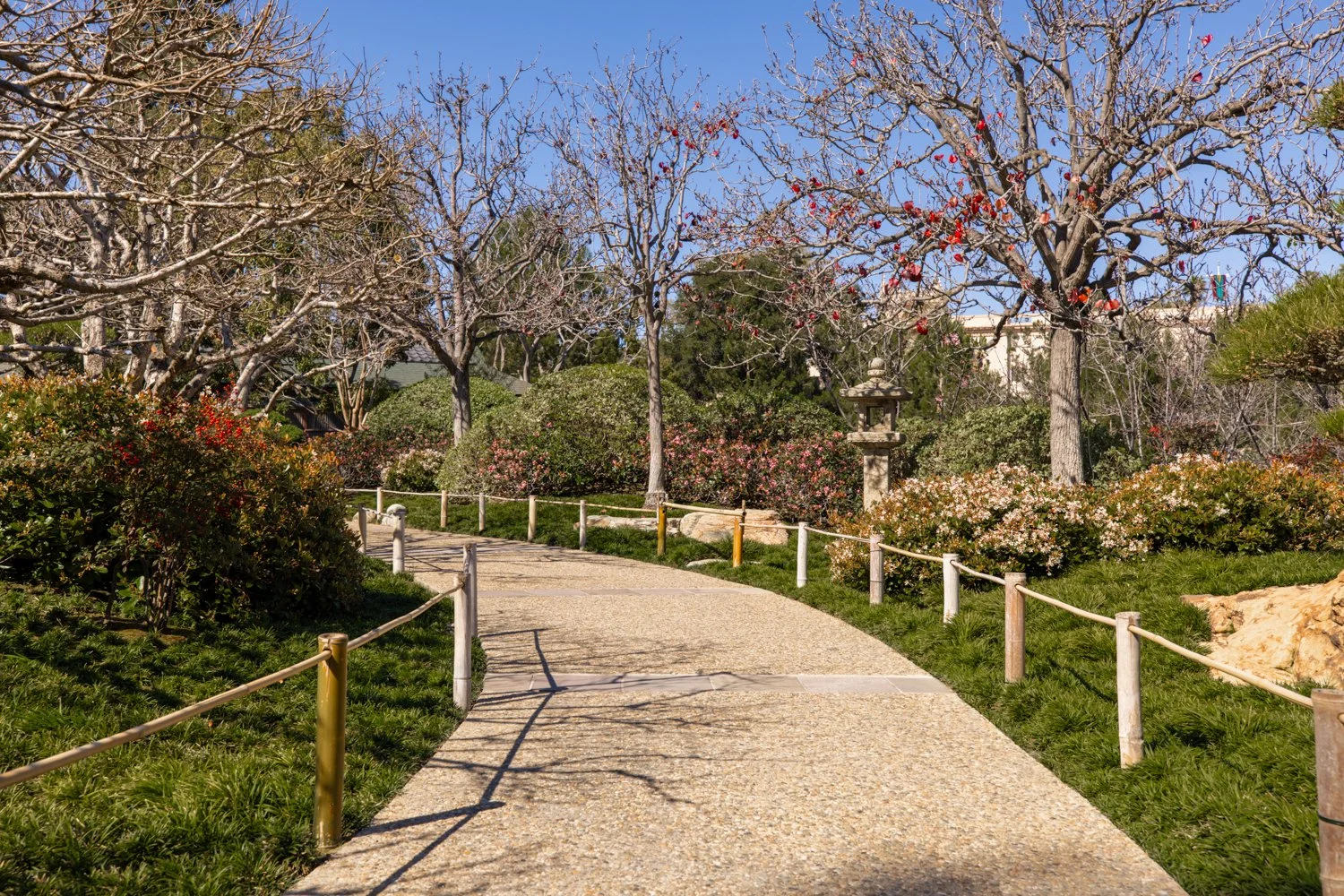 Japanese Friendship Garden-33.jpg