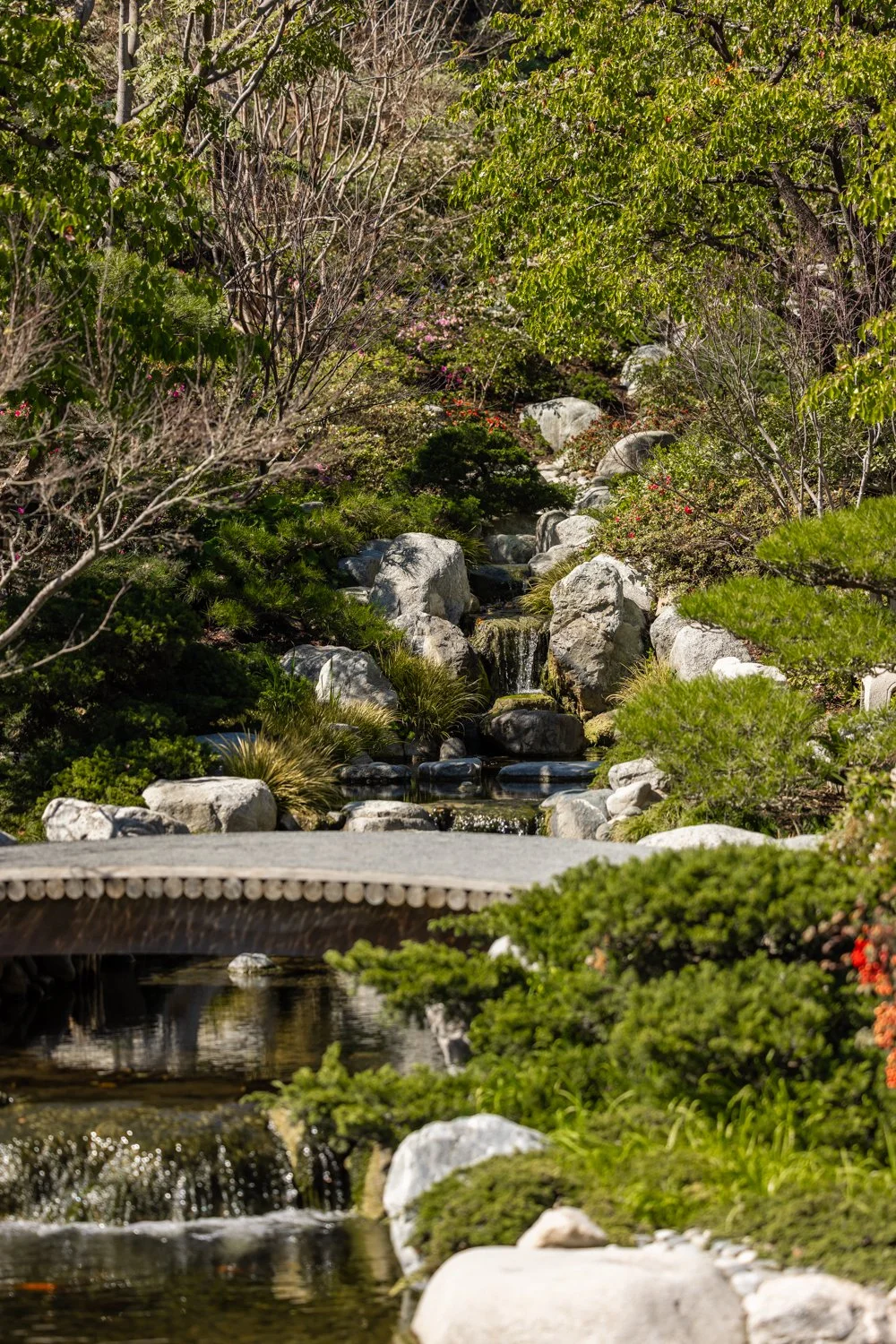 Japanese Friendship Garden-09.jpg