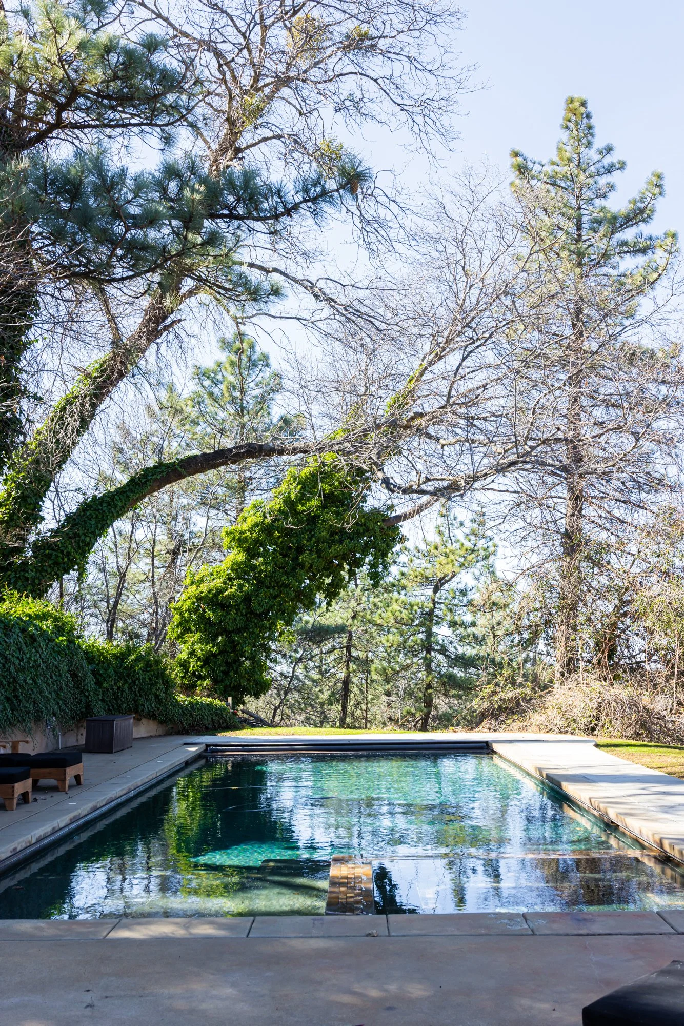 Sacred Mountain Ranch-2.jpg